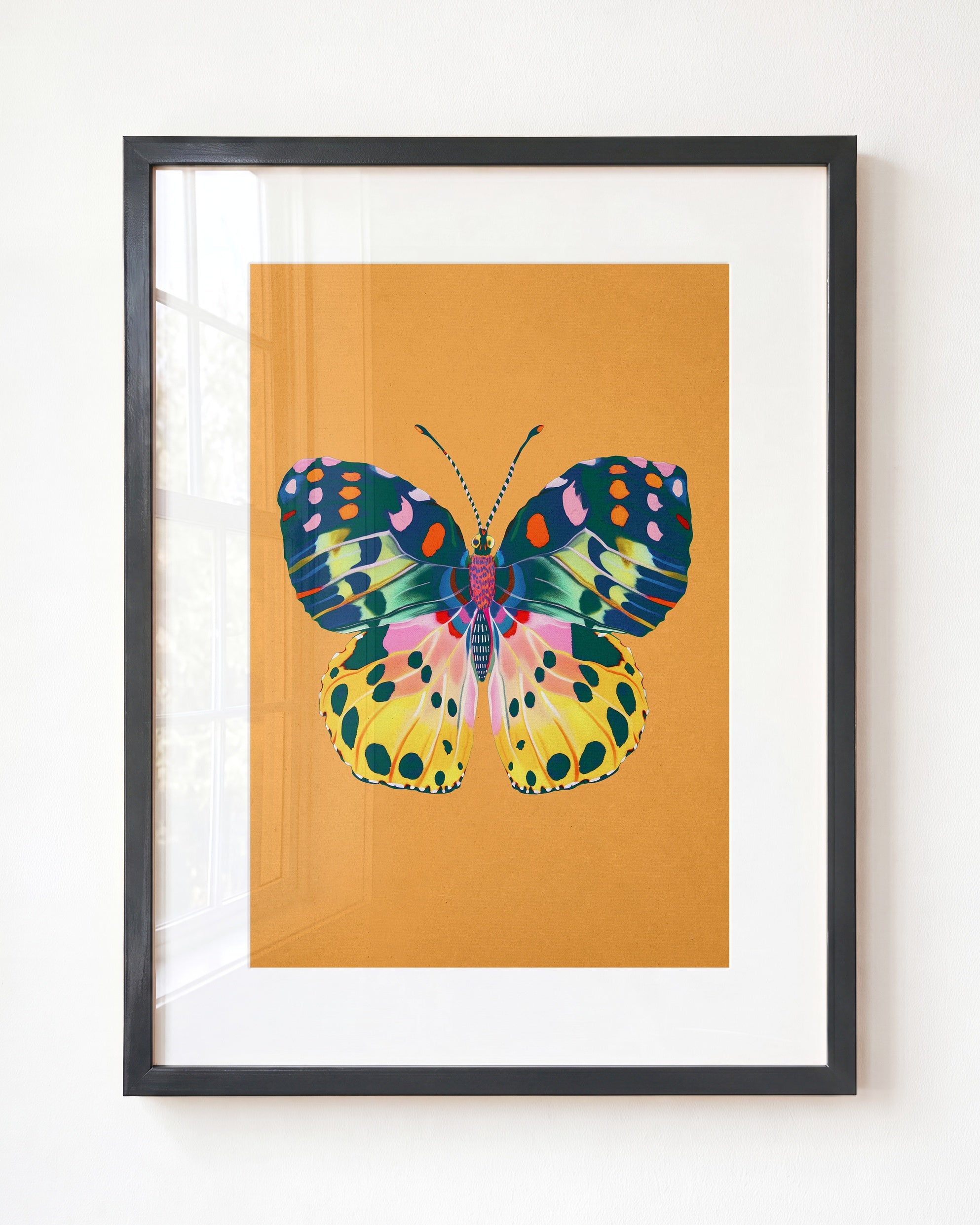 Color Bloom Butterfly Collection