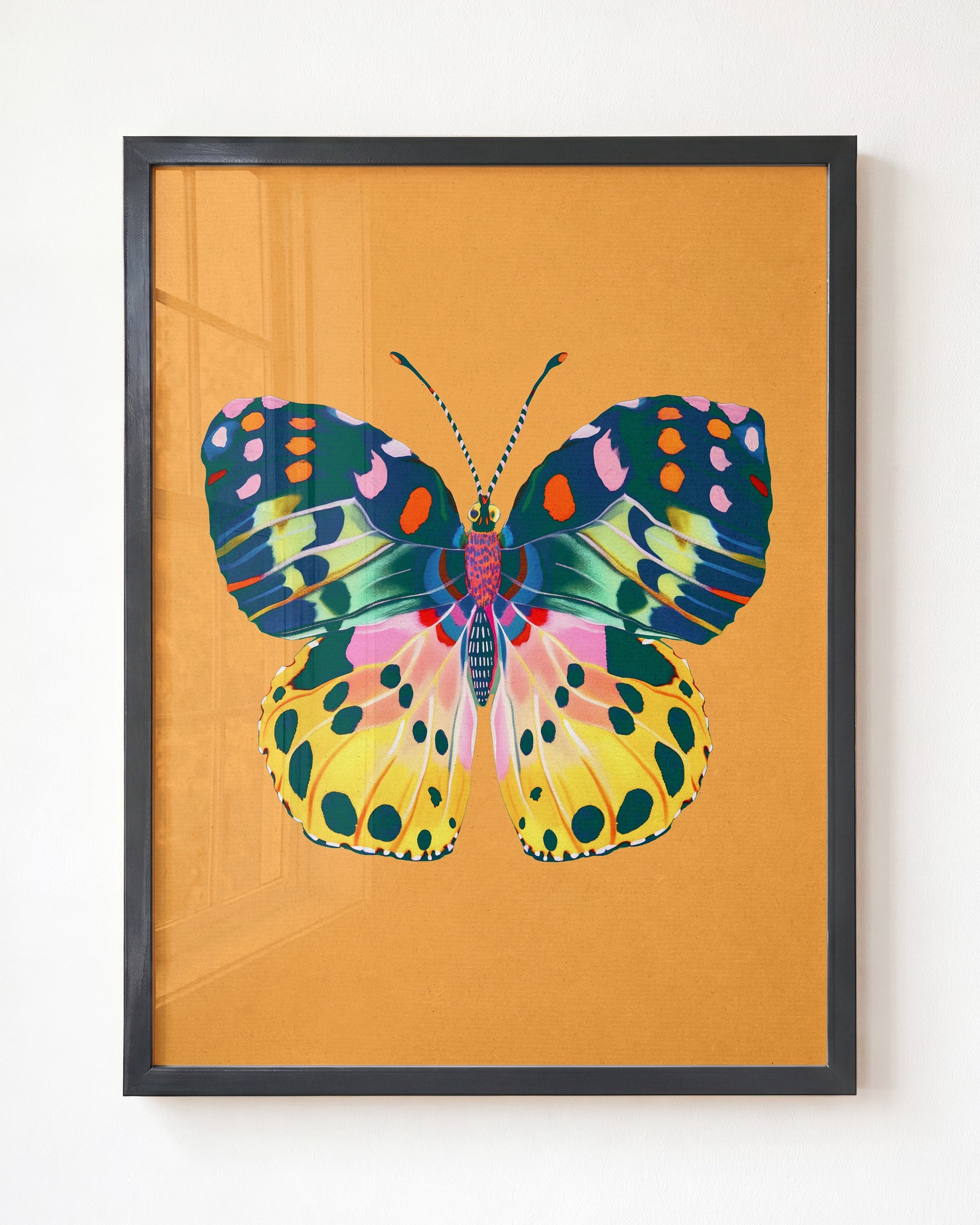 Color Bloom Butterfly Collection