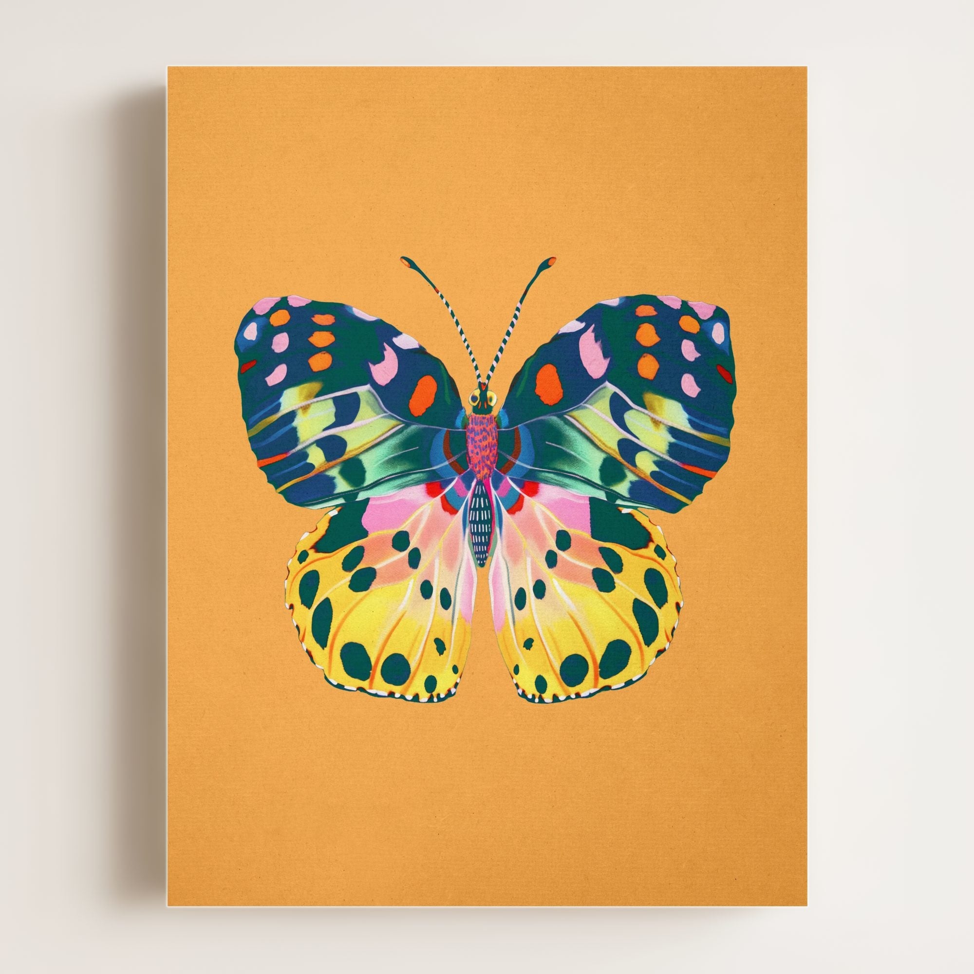 Color Bloom Butterfly Collection