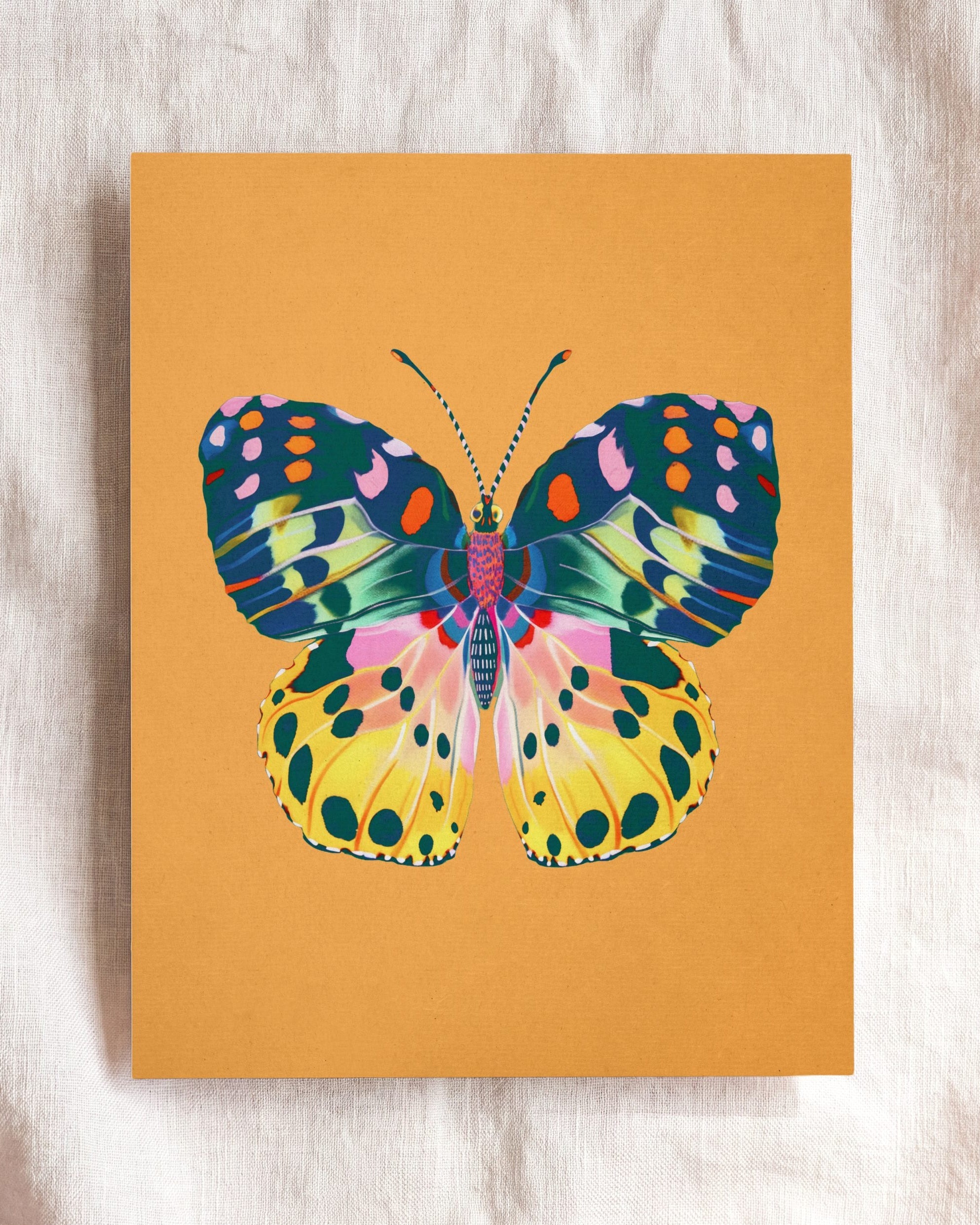 Color Bloom Butterfly Collection
