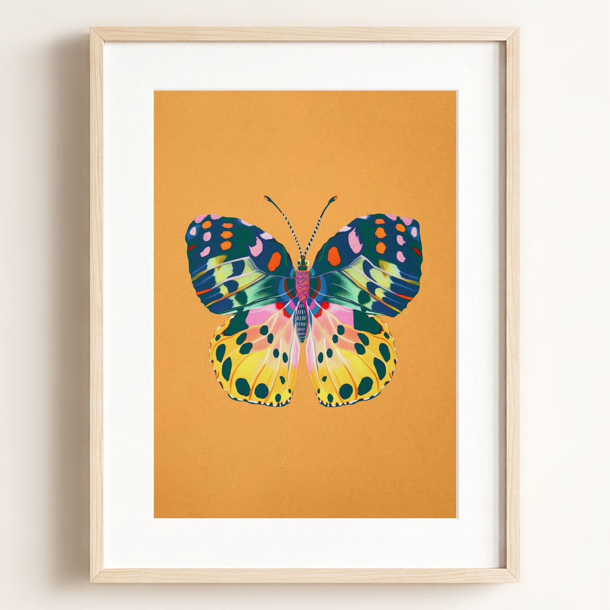 Color Bloom Butterfly Collection