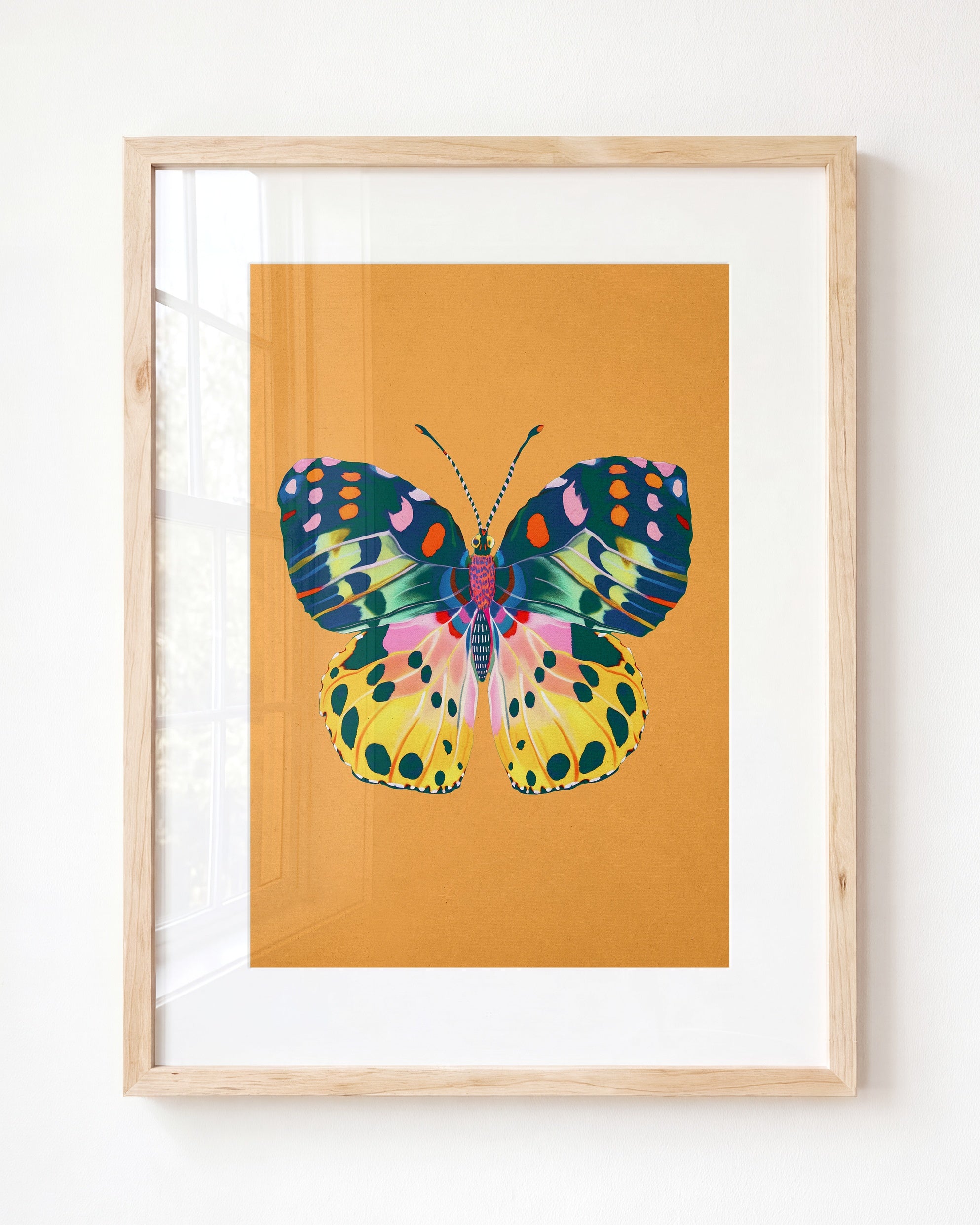 Color Bloom Butterfly Collection