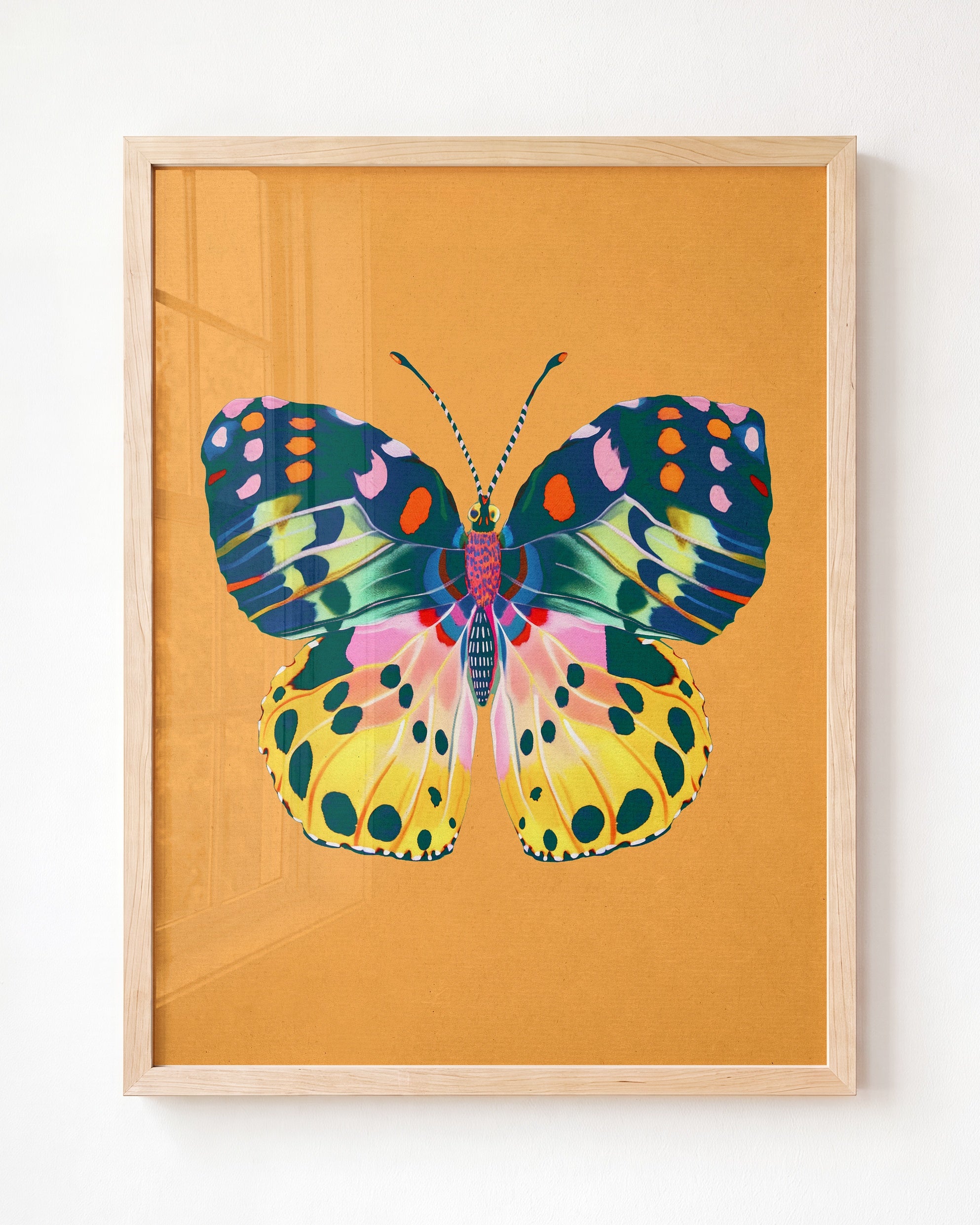 Color Bloom Butterfly Collection