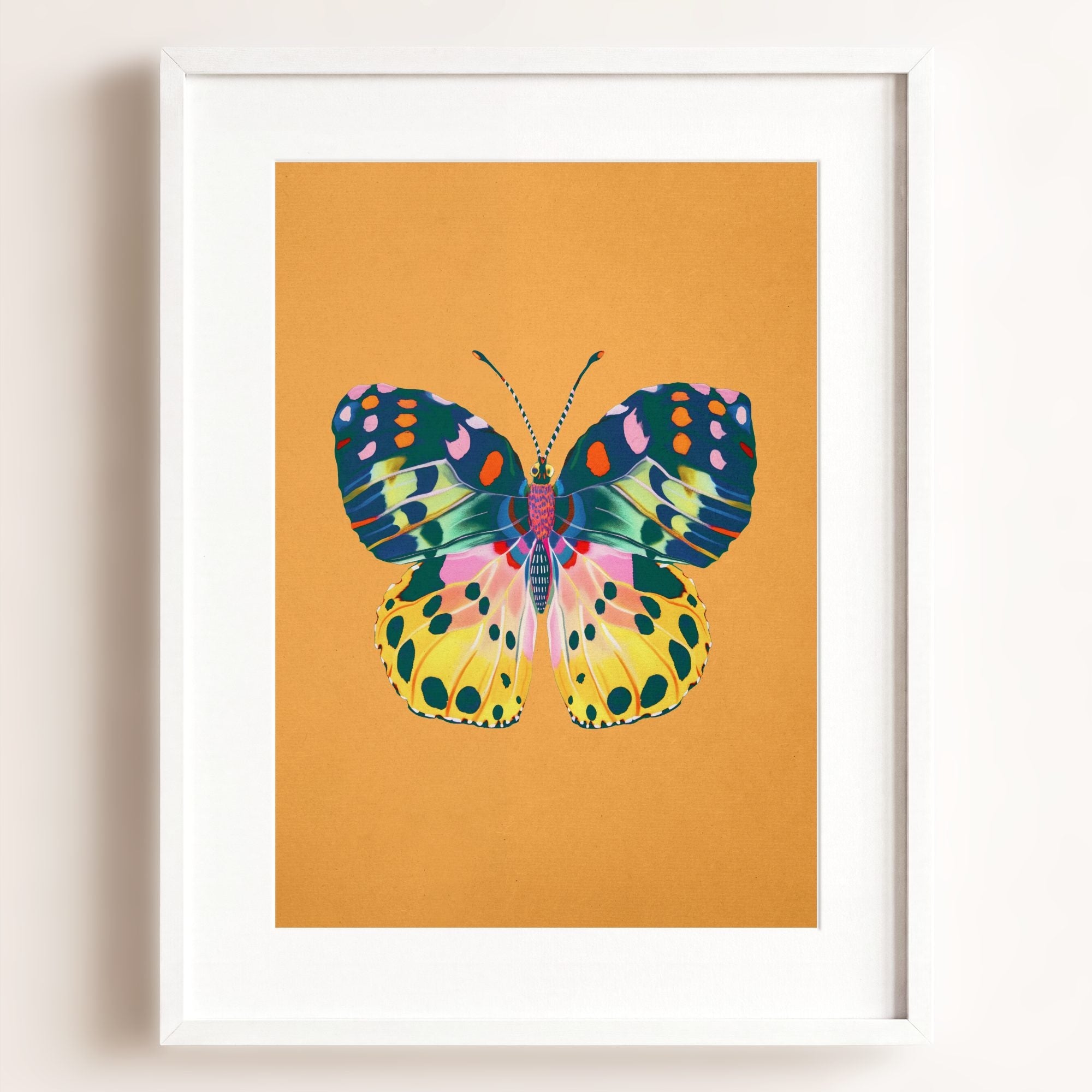 Color Bloom Butterfly Collection