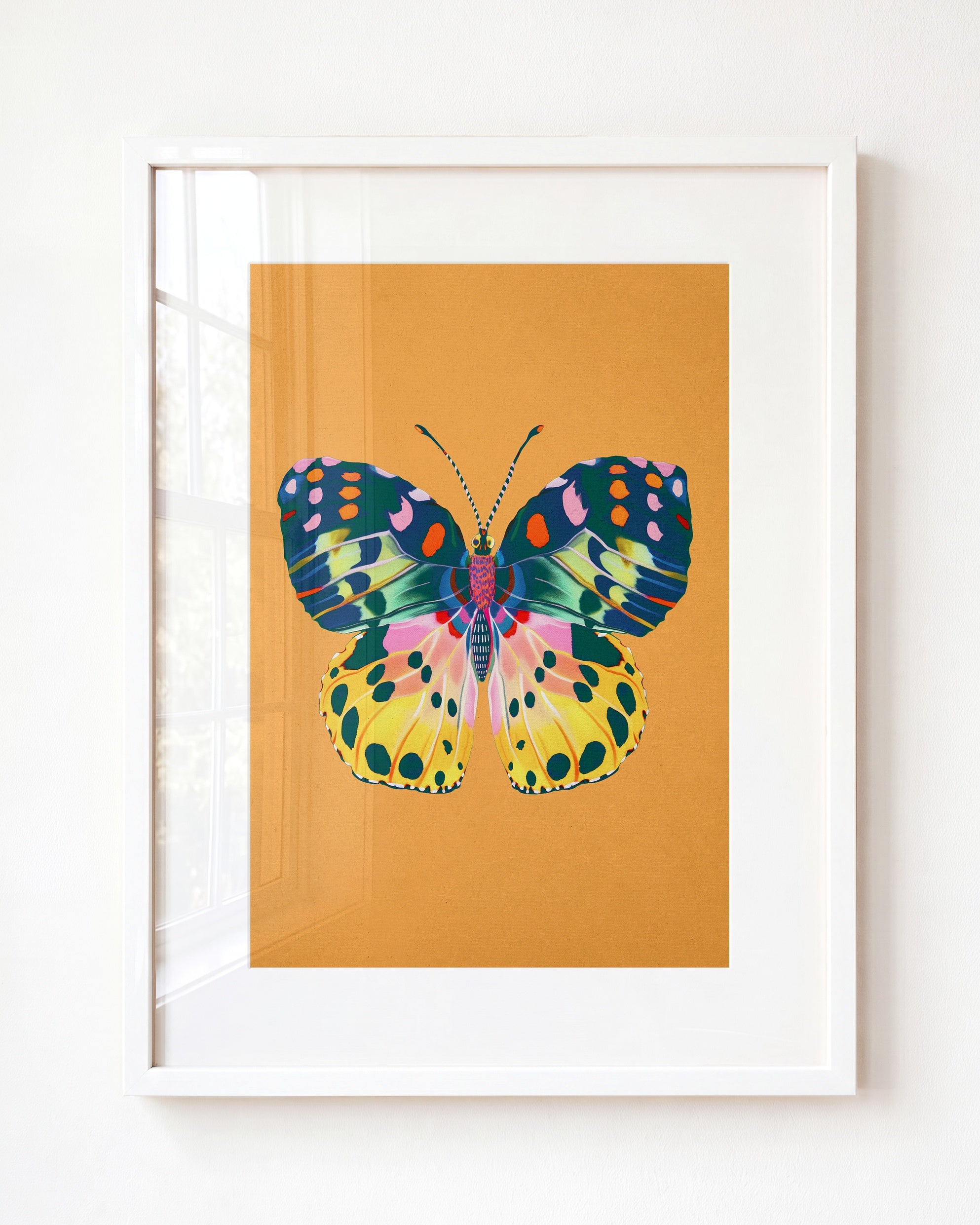 Color Bloom Butterfly Collection