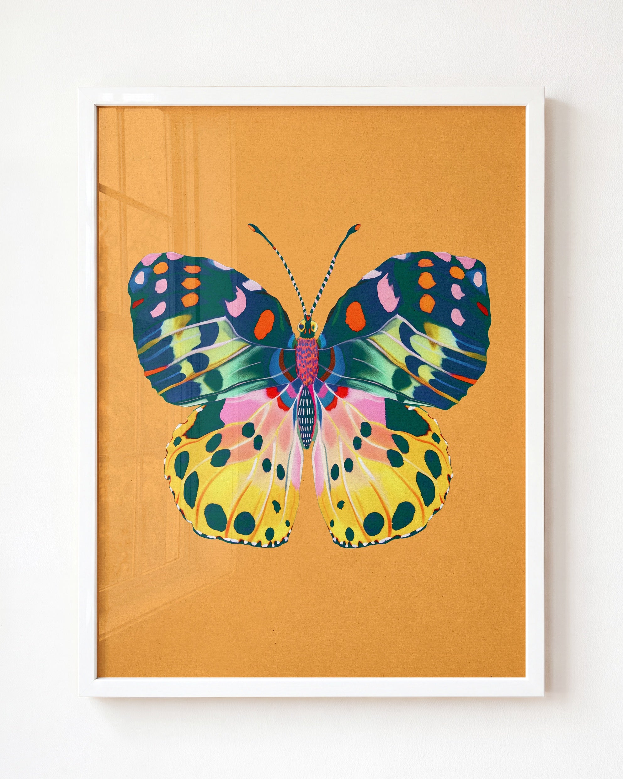Color Bloom Butterfly Collection