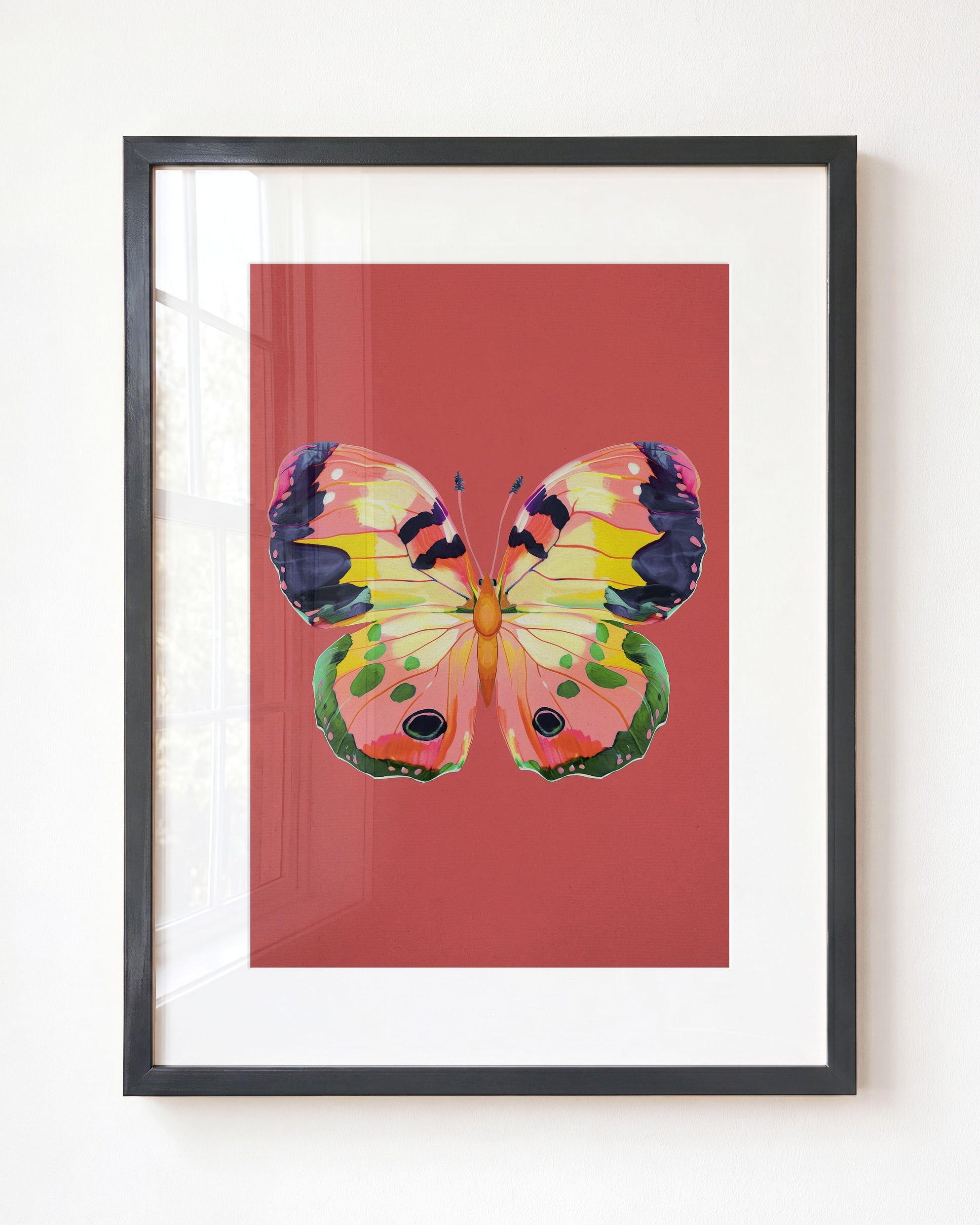 Color Bloom Butterfly Collection