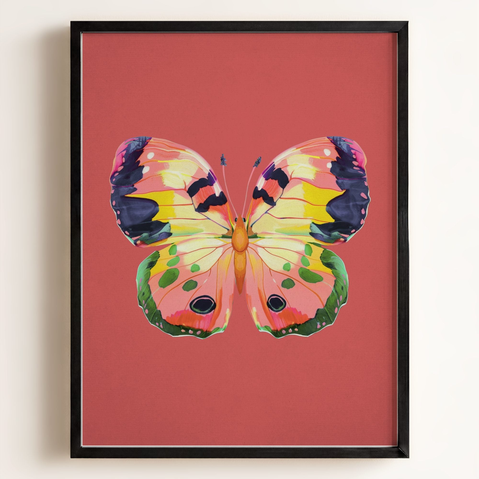 Color Bloom Butterfly Collection