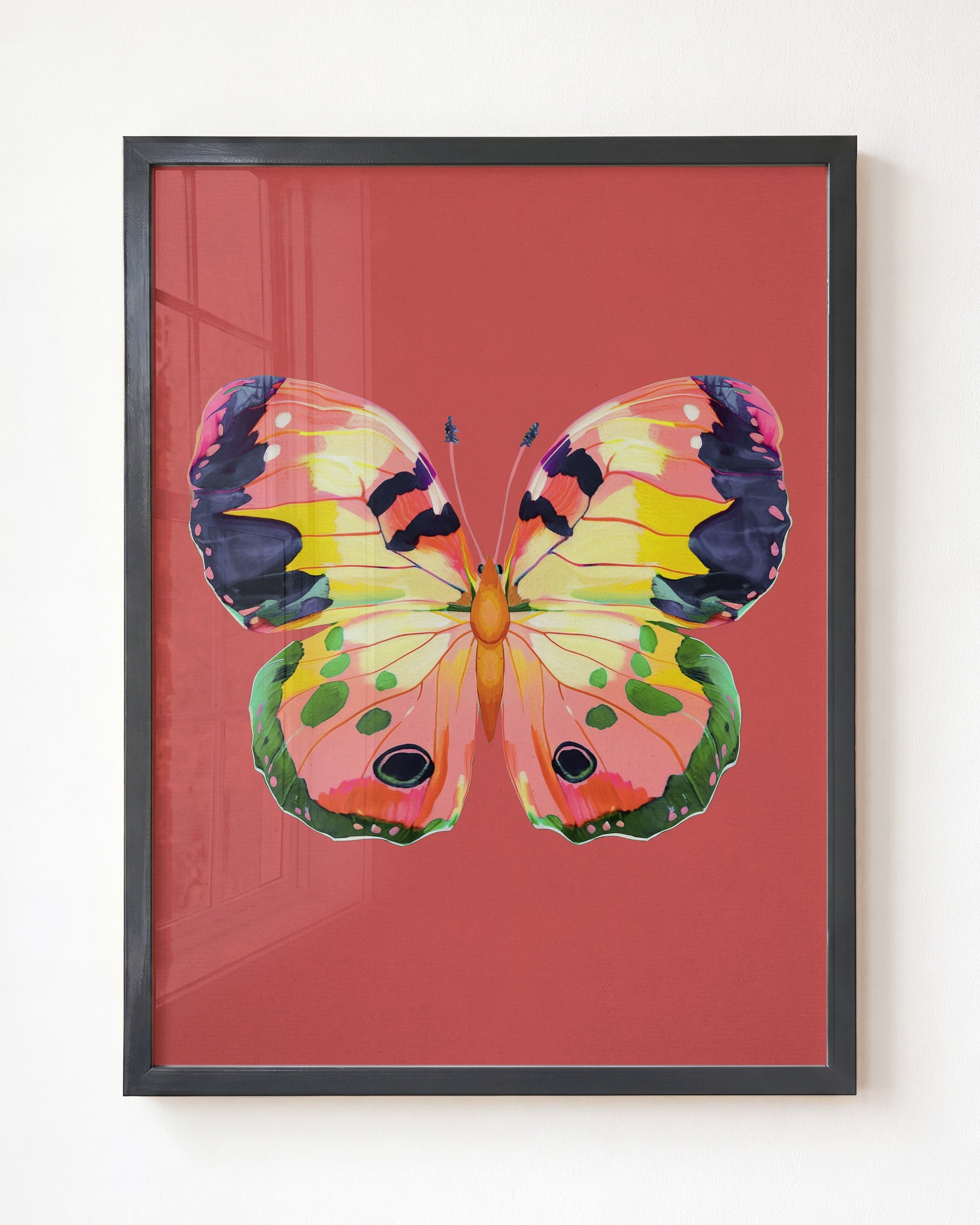 Color Bloom Butterfly Collection