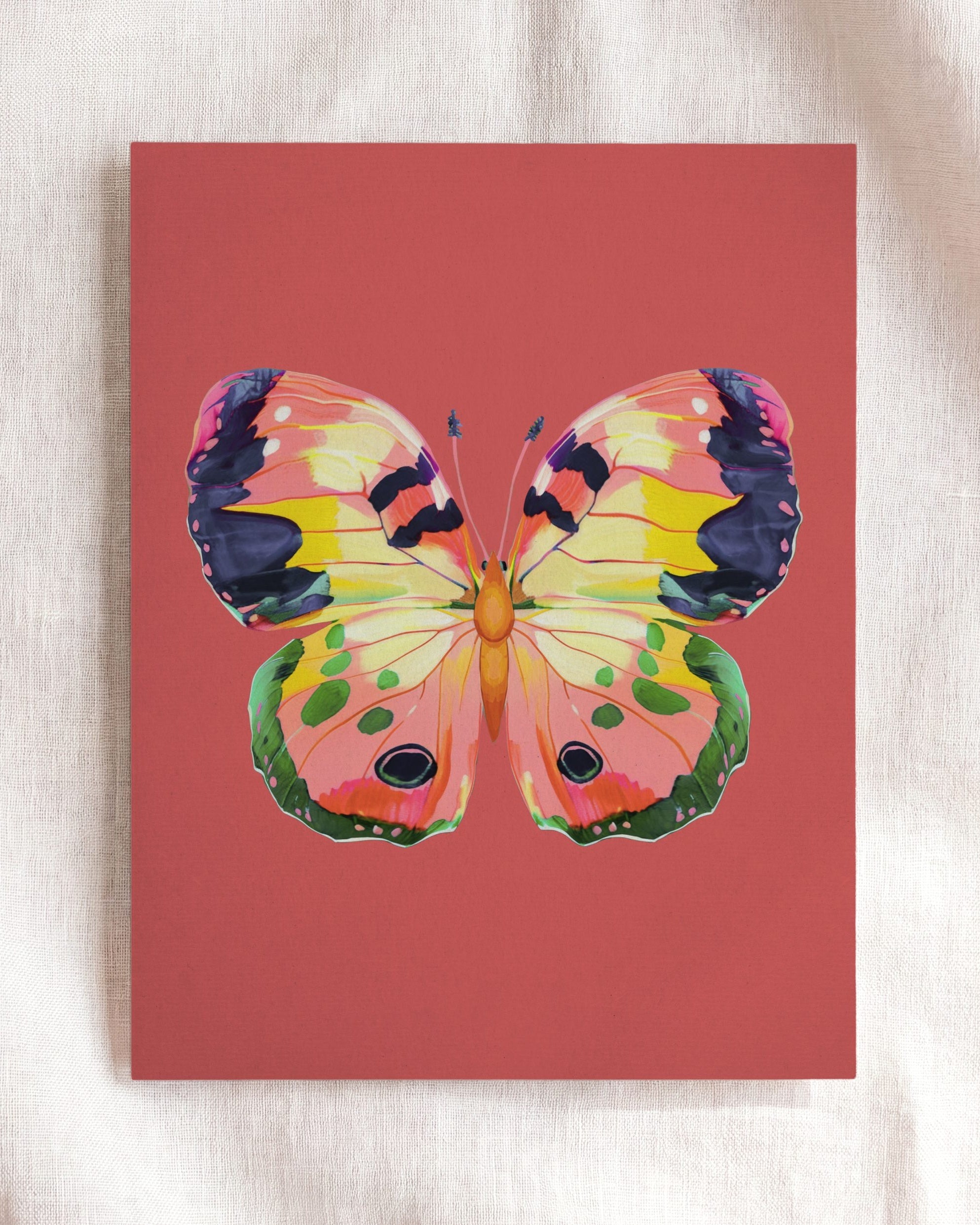 Color Bloom Butterfly Collection