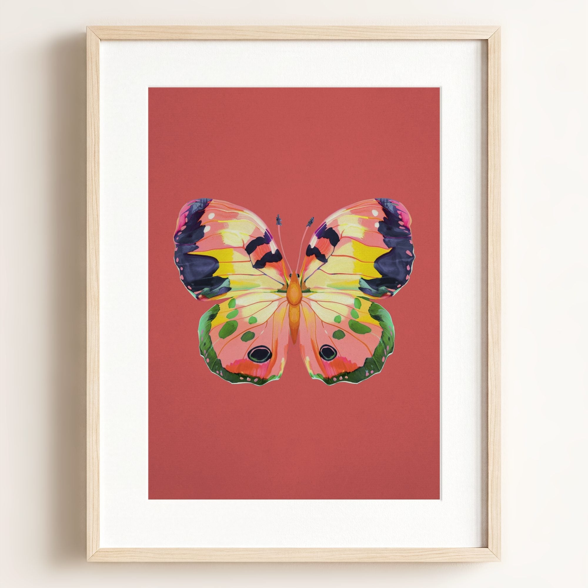 Color Bloom Butterfly Collection