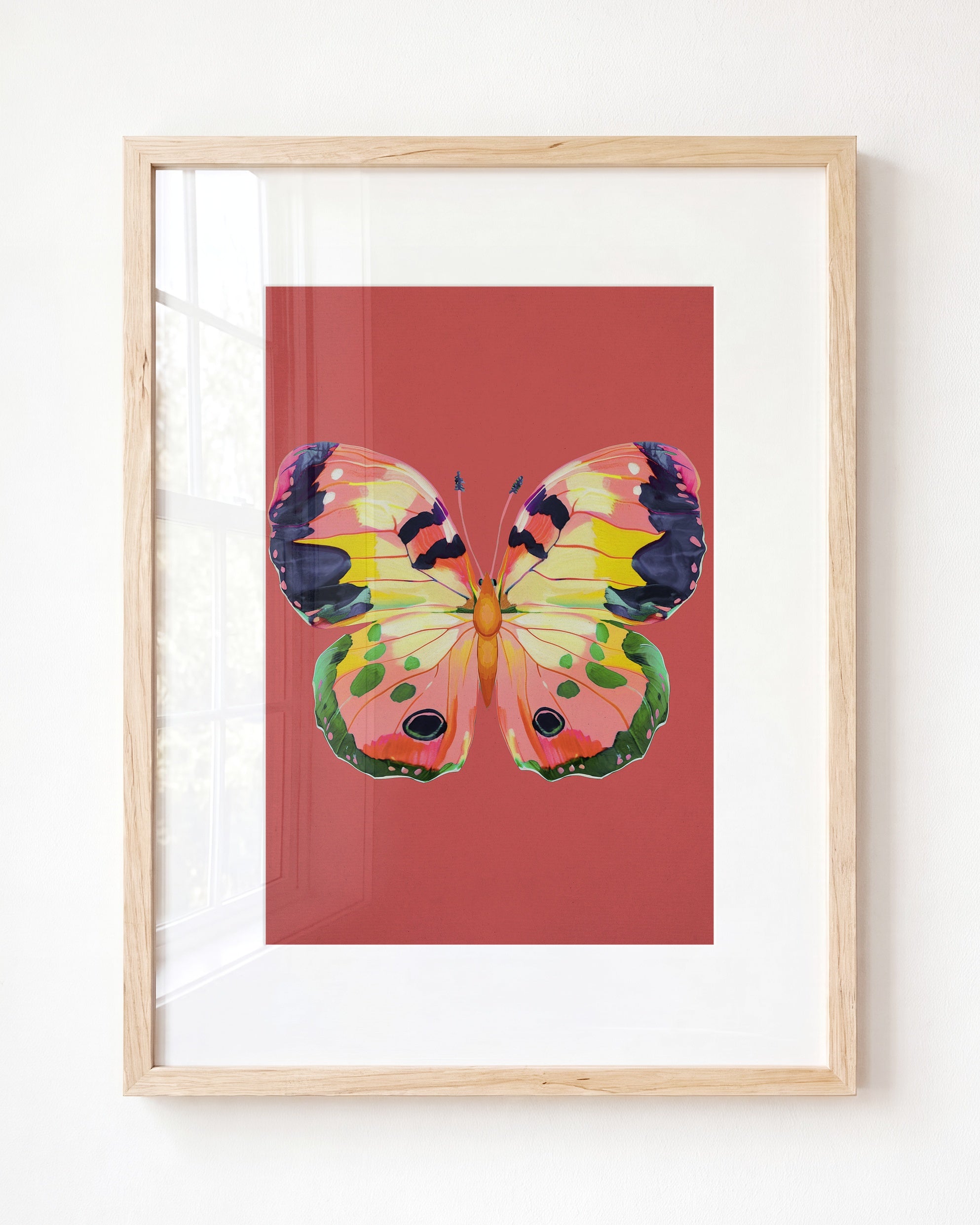 Color Bloom Butterfly Collection