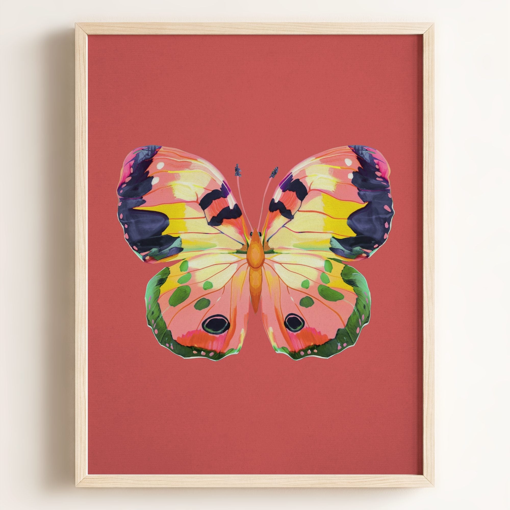 Color Bloom Butterfly Collection