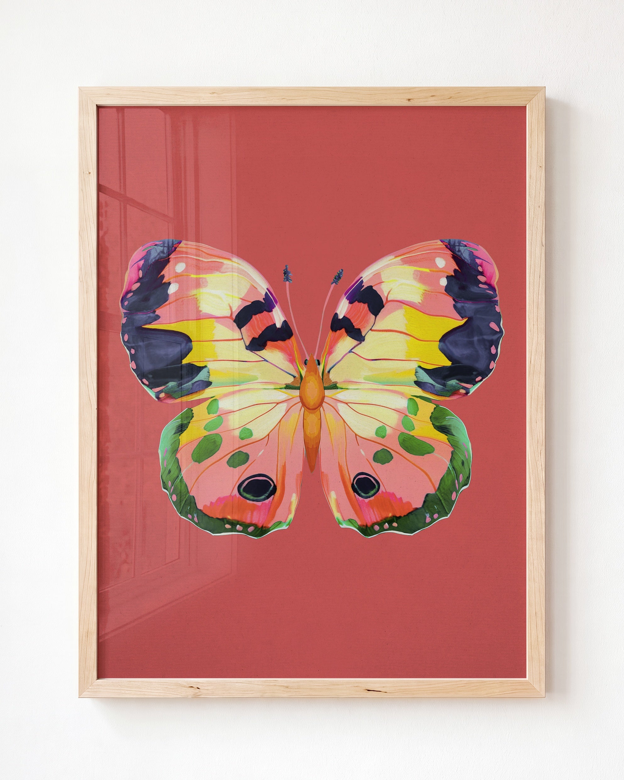 Color Bloom Butterfly Collection