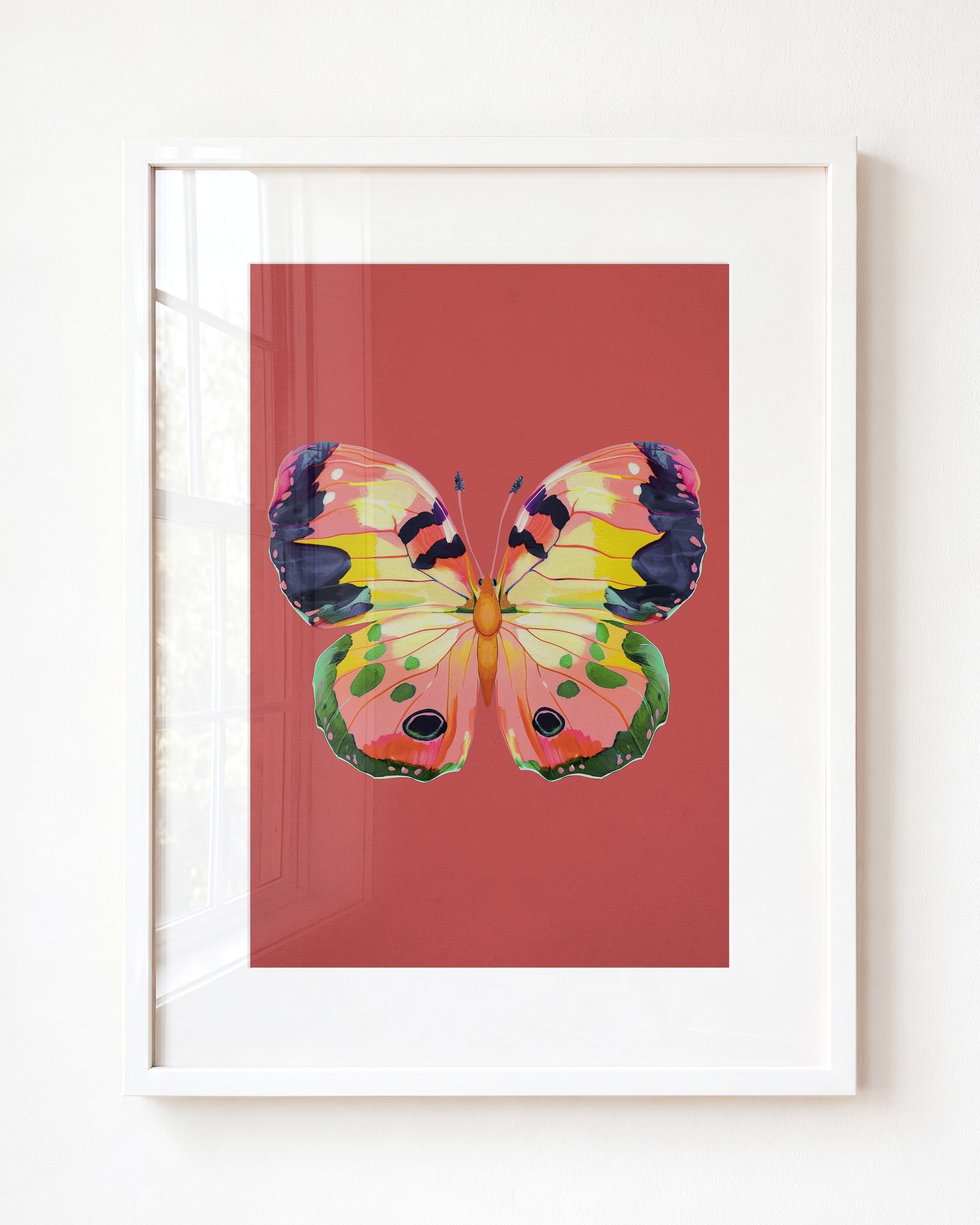 Color Bloom Butterfly Collection