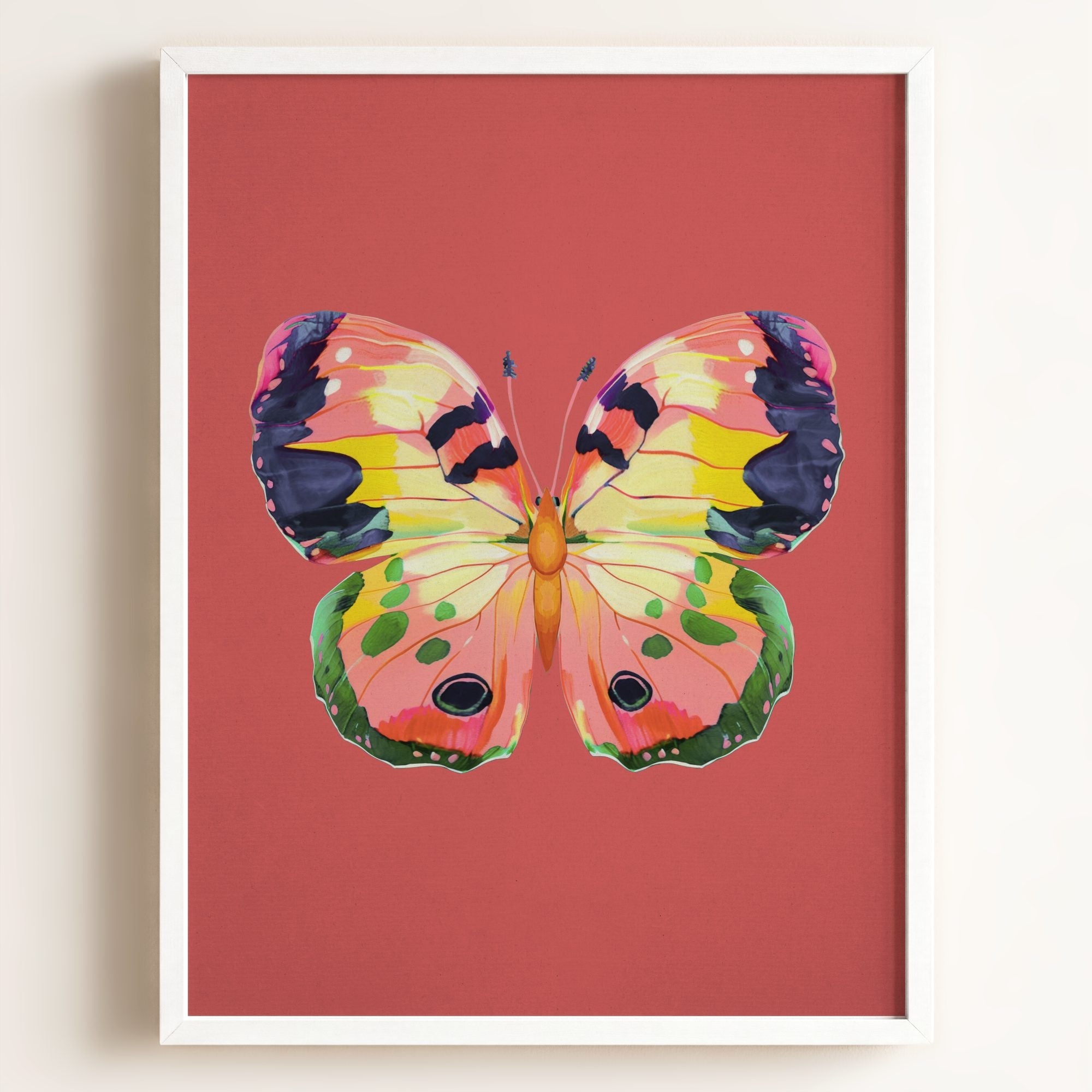 Color Bloom Butterfly Collection