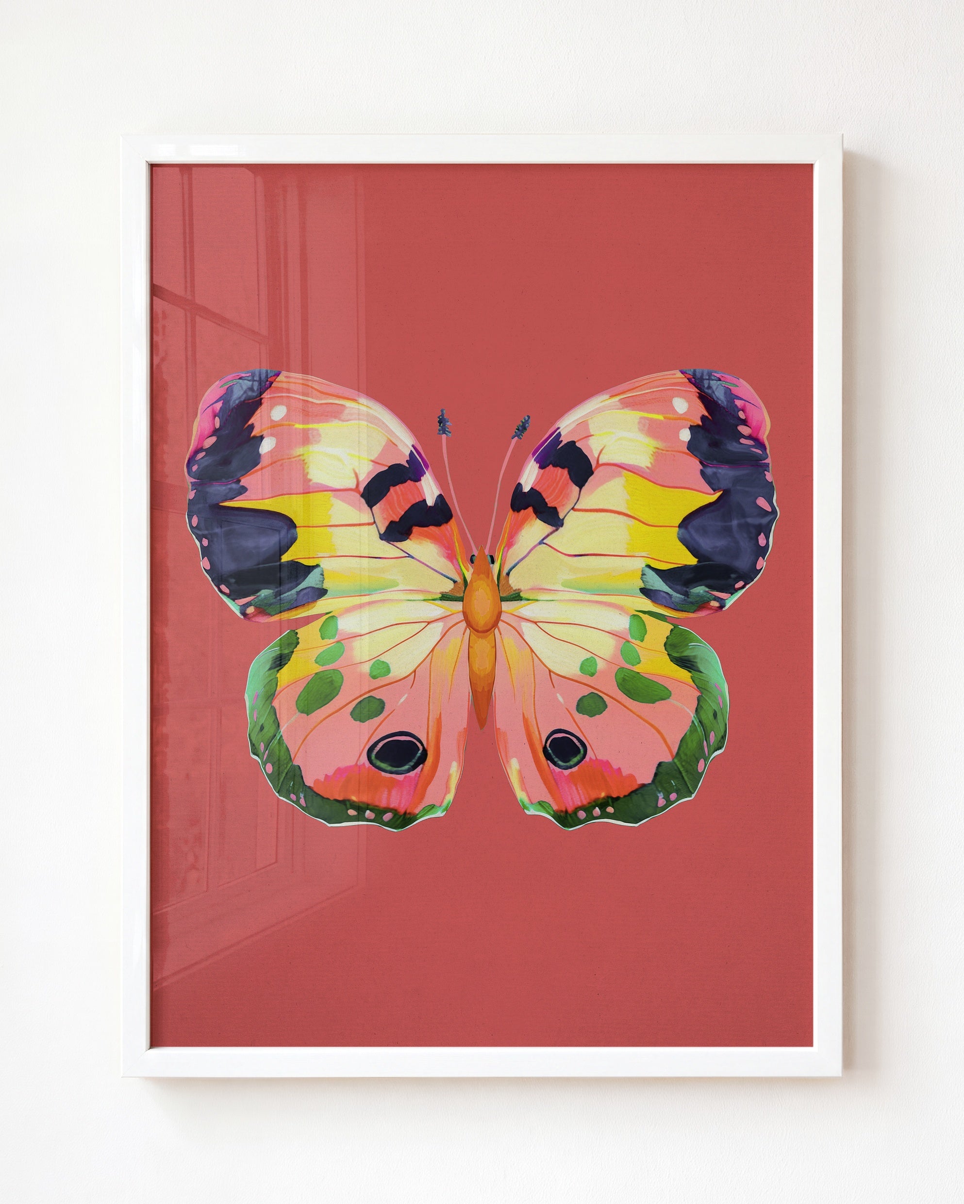 Color Bloom Butterfly Collection