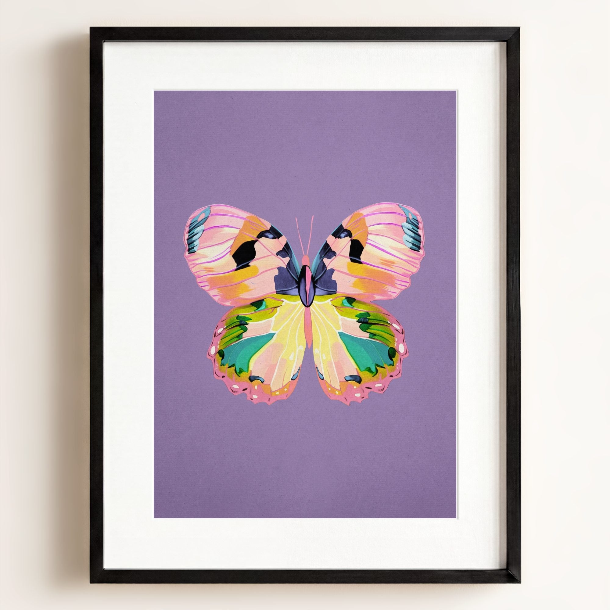 Color Bloom Butterfly Collection