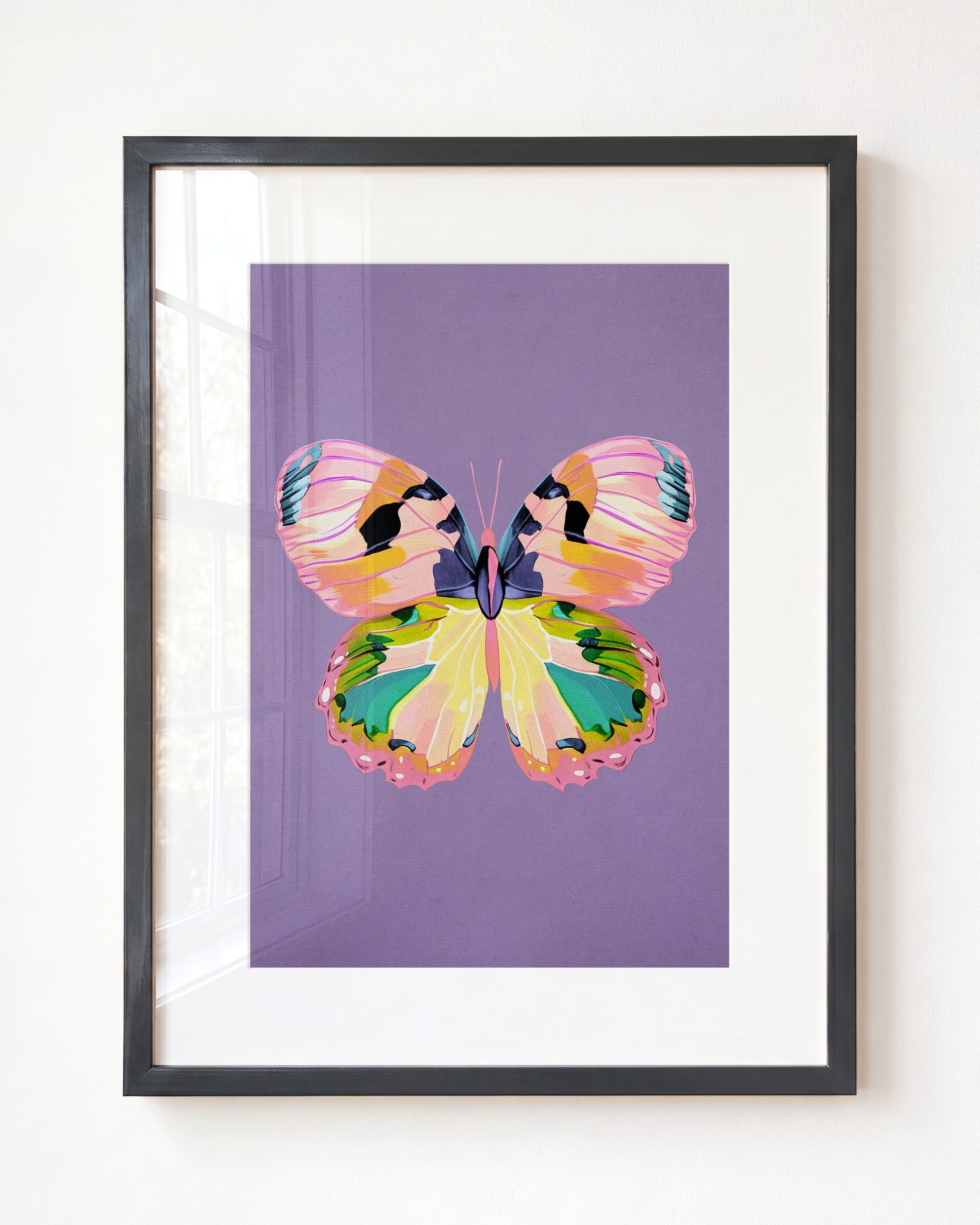 Color Bloom Butterfly Collection