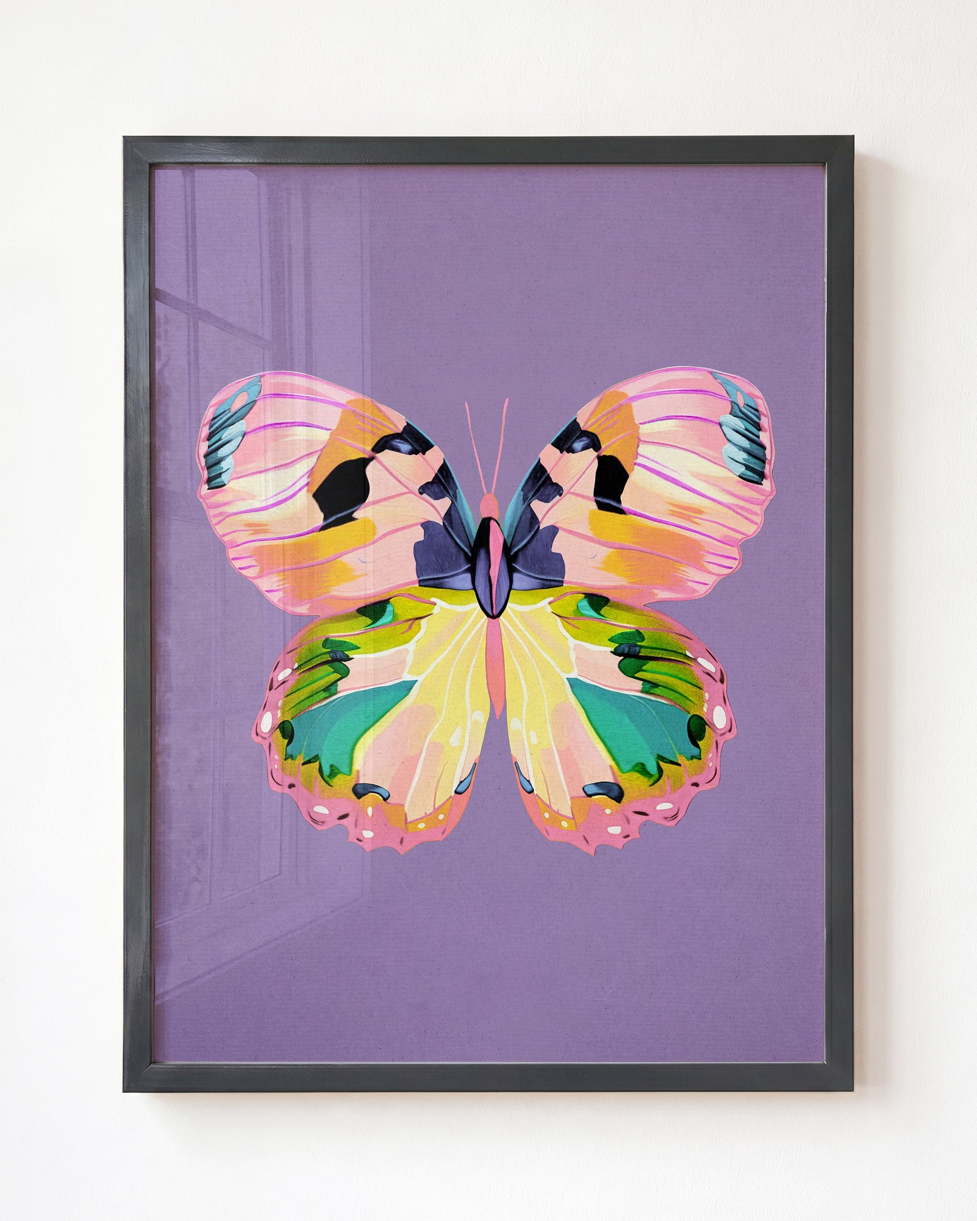 Color Bloom Butterfly Collection