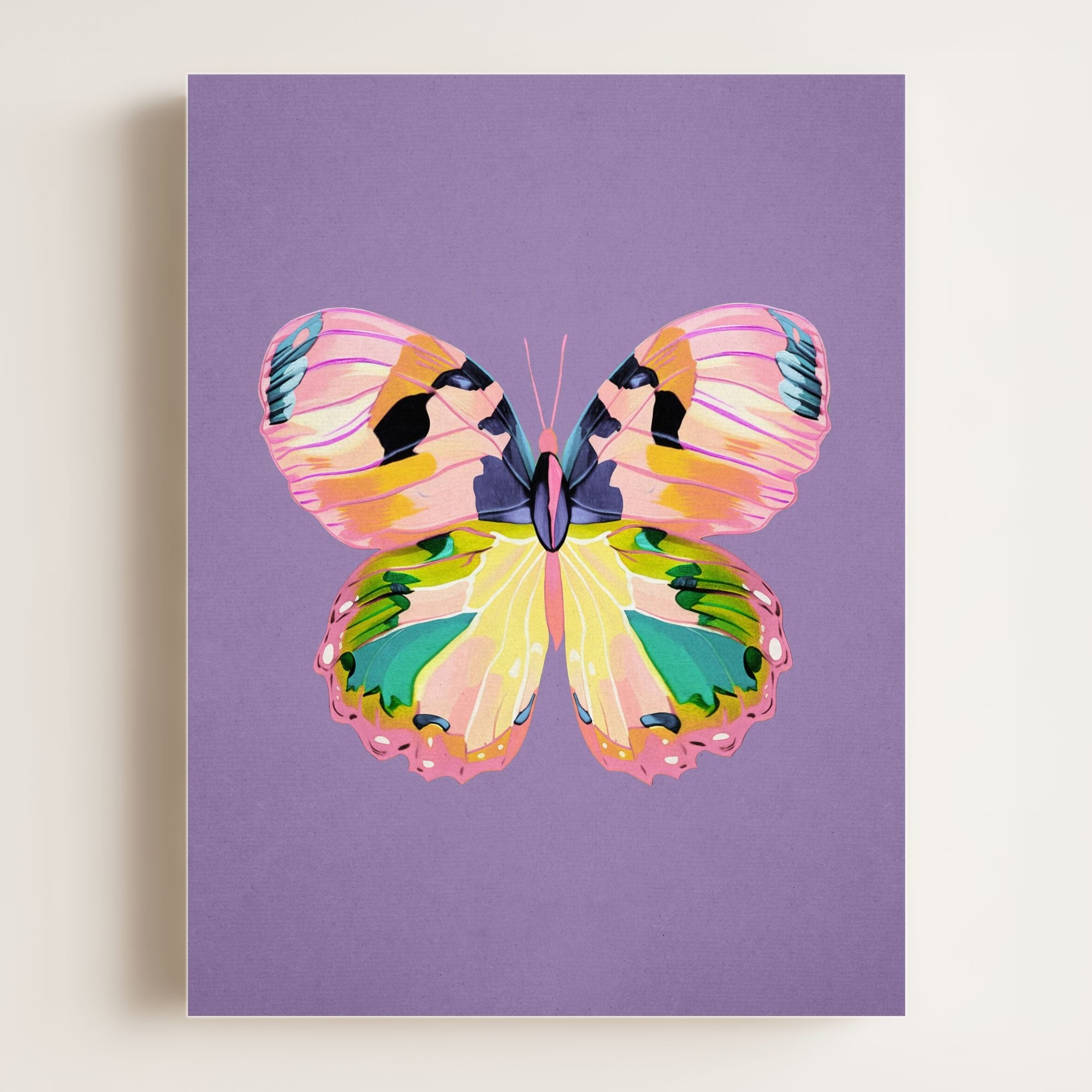 Color Bloom Butterfly Collection