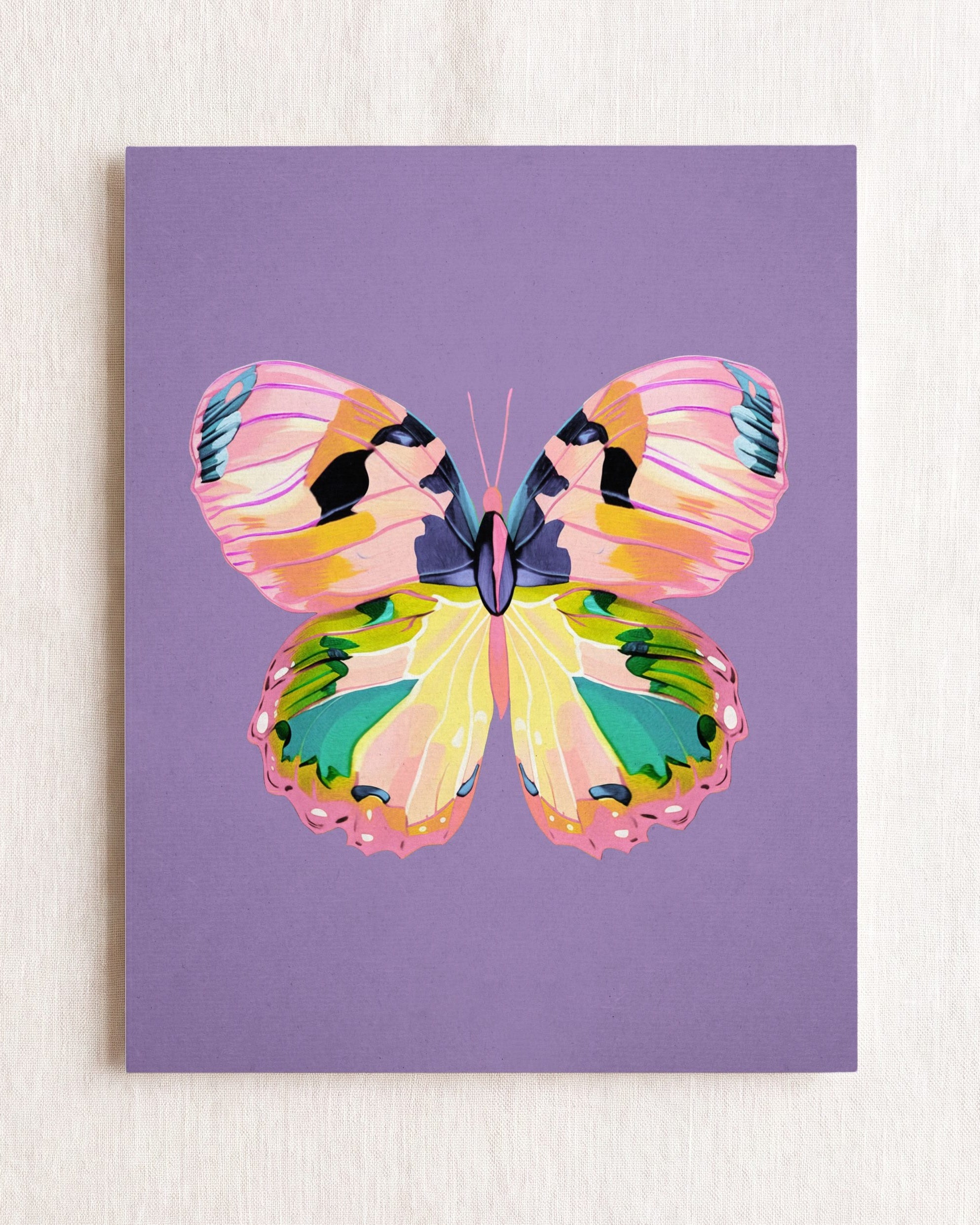 Color Bloom Butterfly Collection