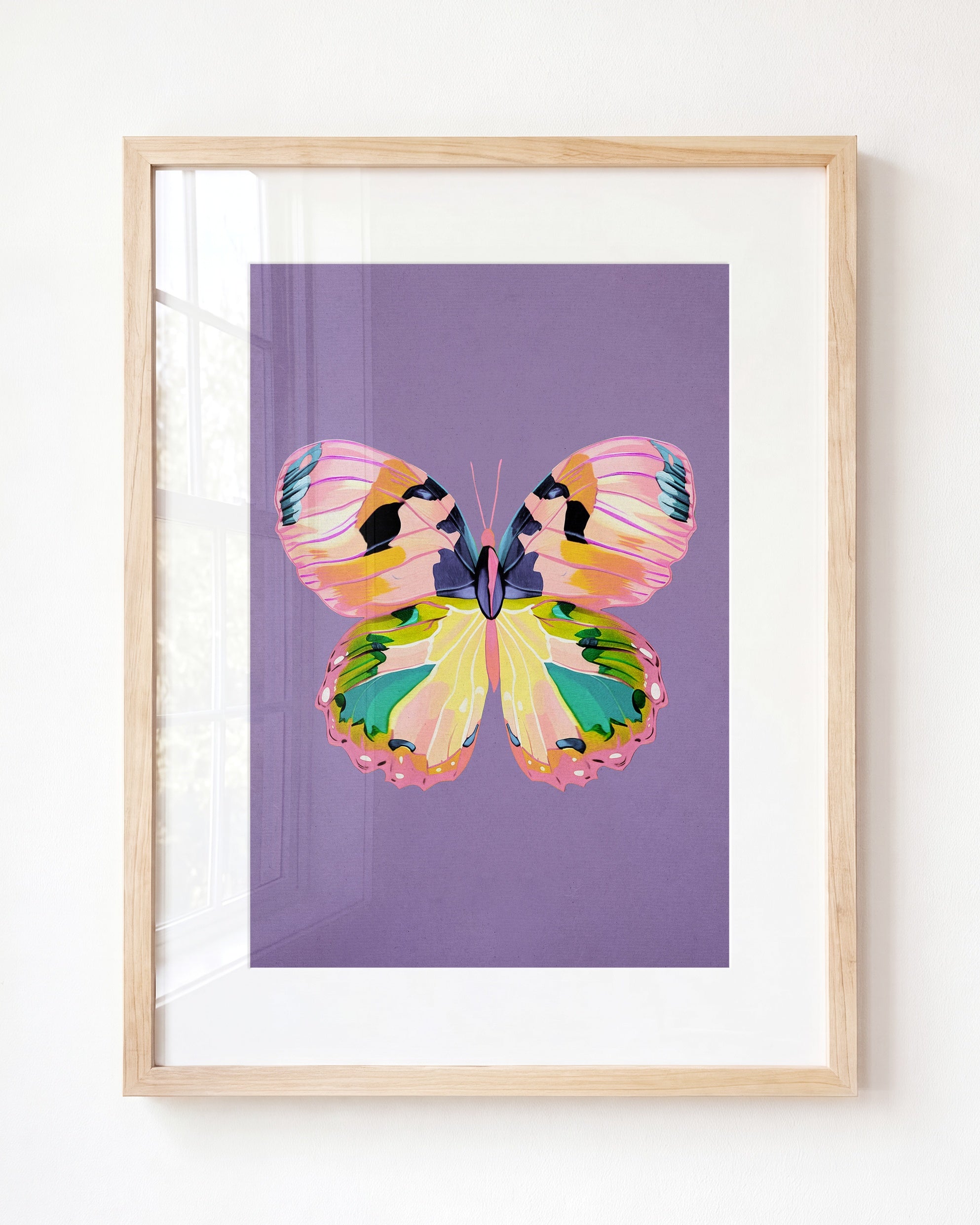 Color Bloom Butterfly Collection