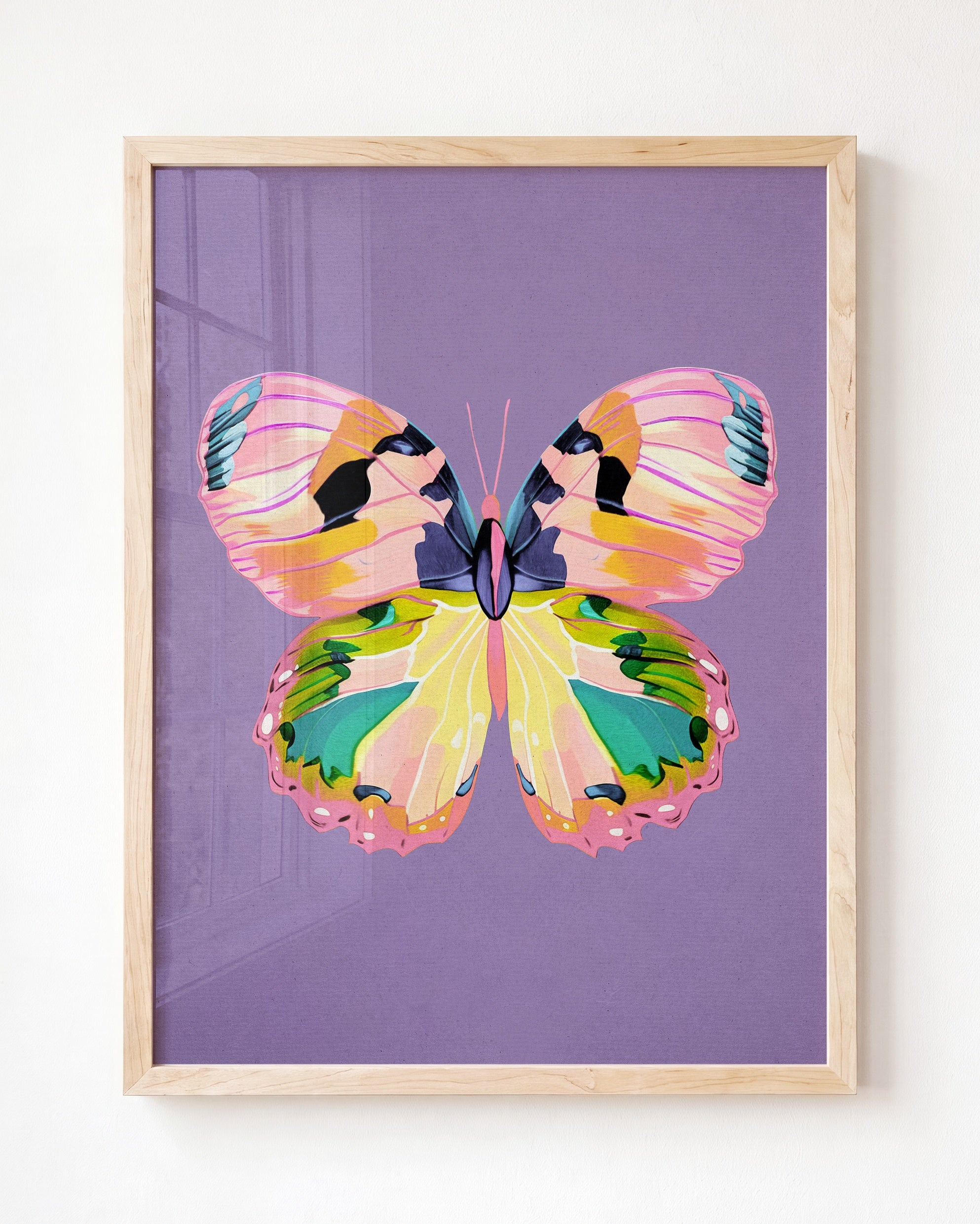 Color Bloom Butterfly Collection