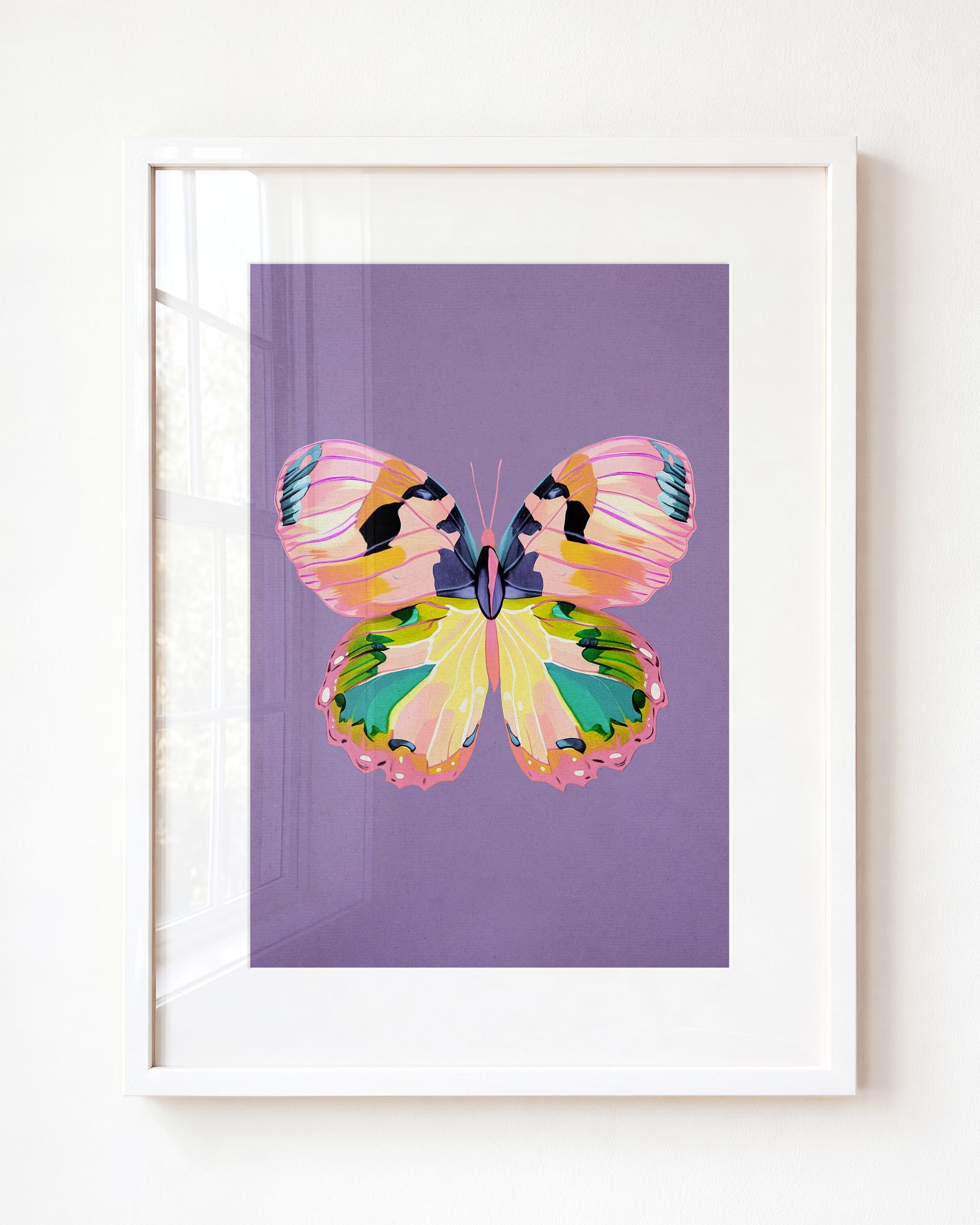 Color Bloom Butterfly Collection