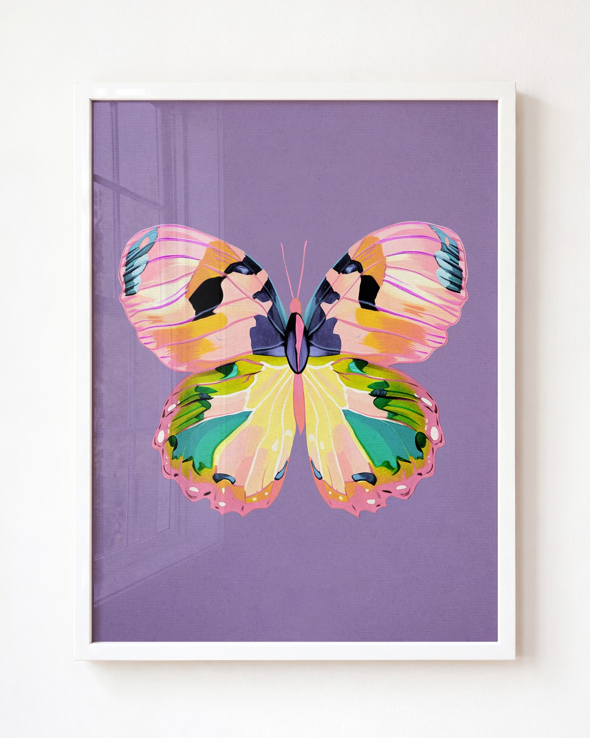 Color Bloom Butterfly Collection