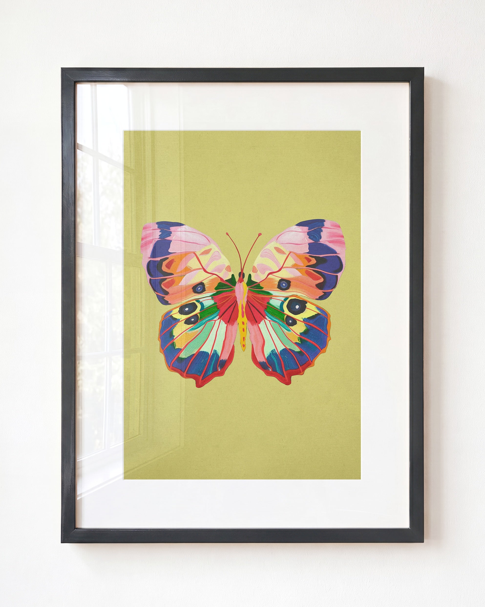 Color Bloom Butterfly Collection