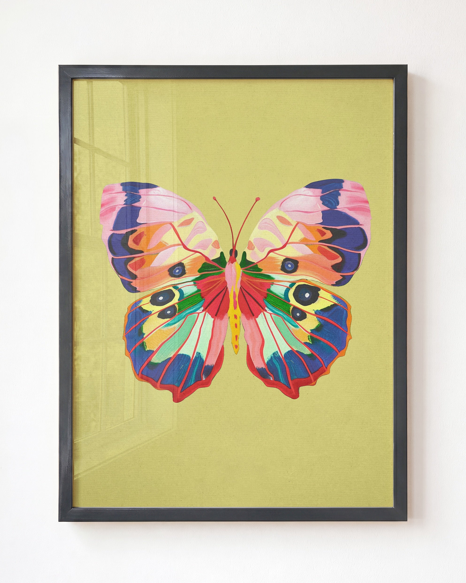 Color Bloom Butterfly Collection