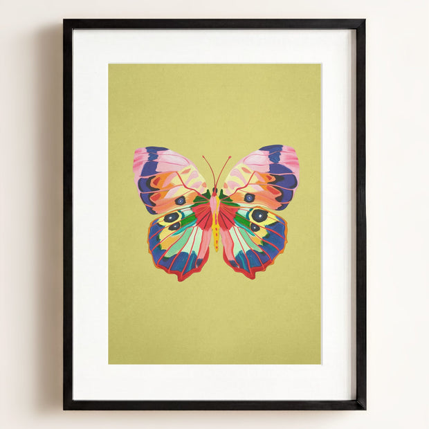 Color Bloom Butterfly Collection