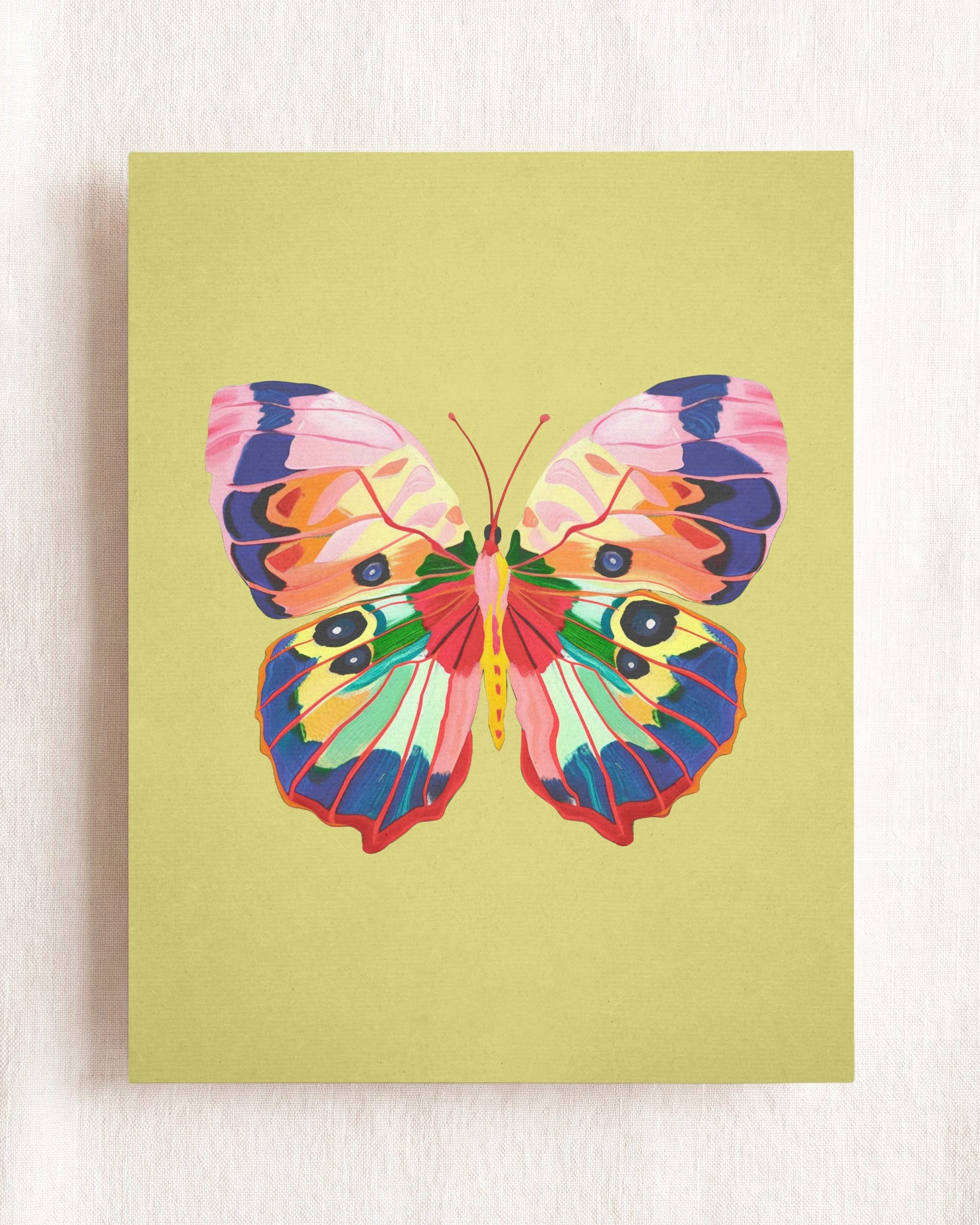 Color Bloom Butterfly Collection