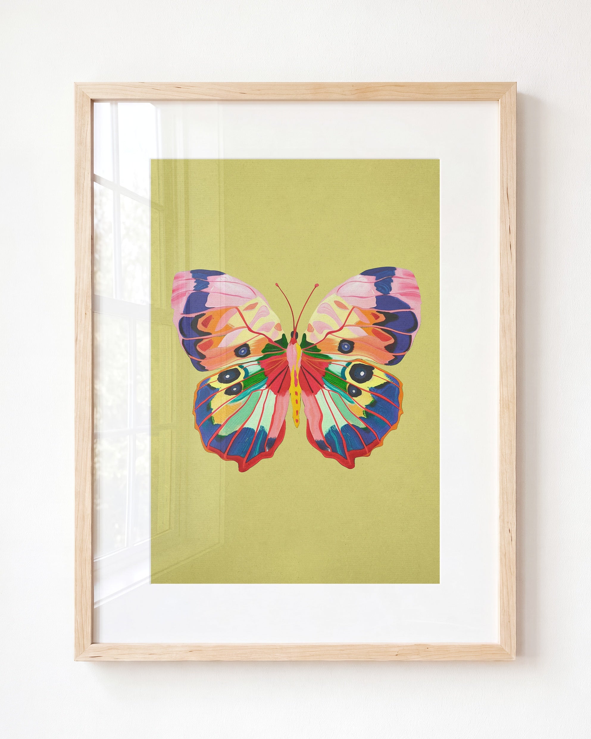Color Bloom Butterfly Collection