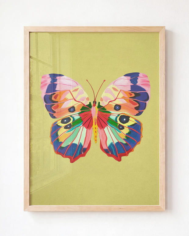 Color Bloom Butterfly Collection