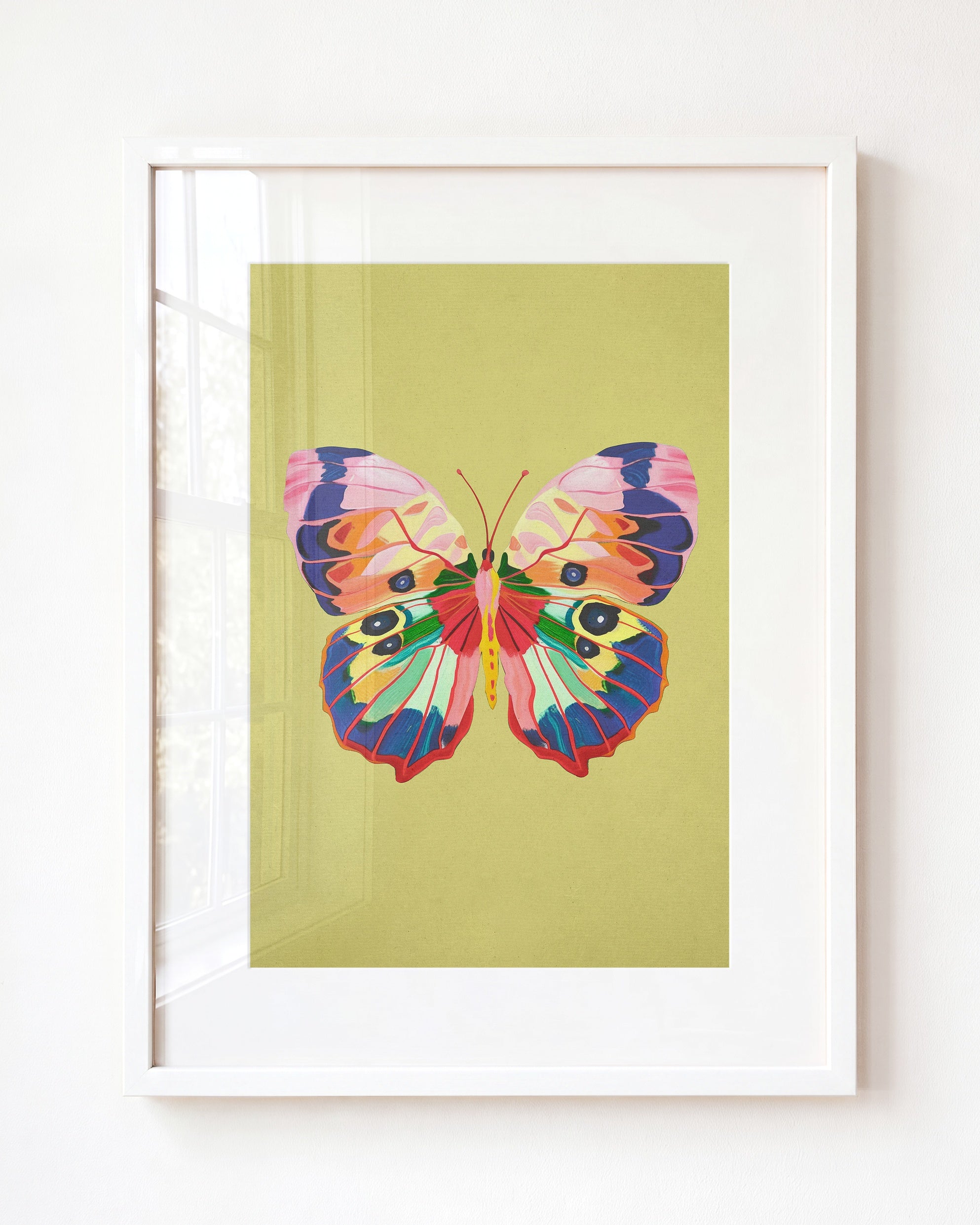 Color Bloom Butterfly Collection