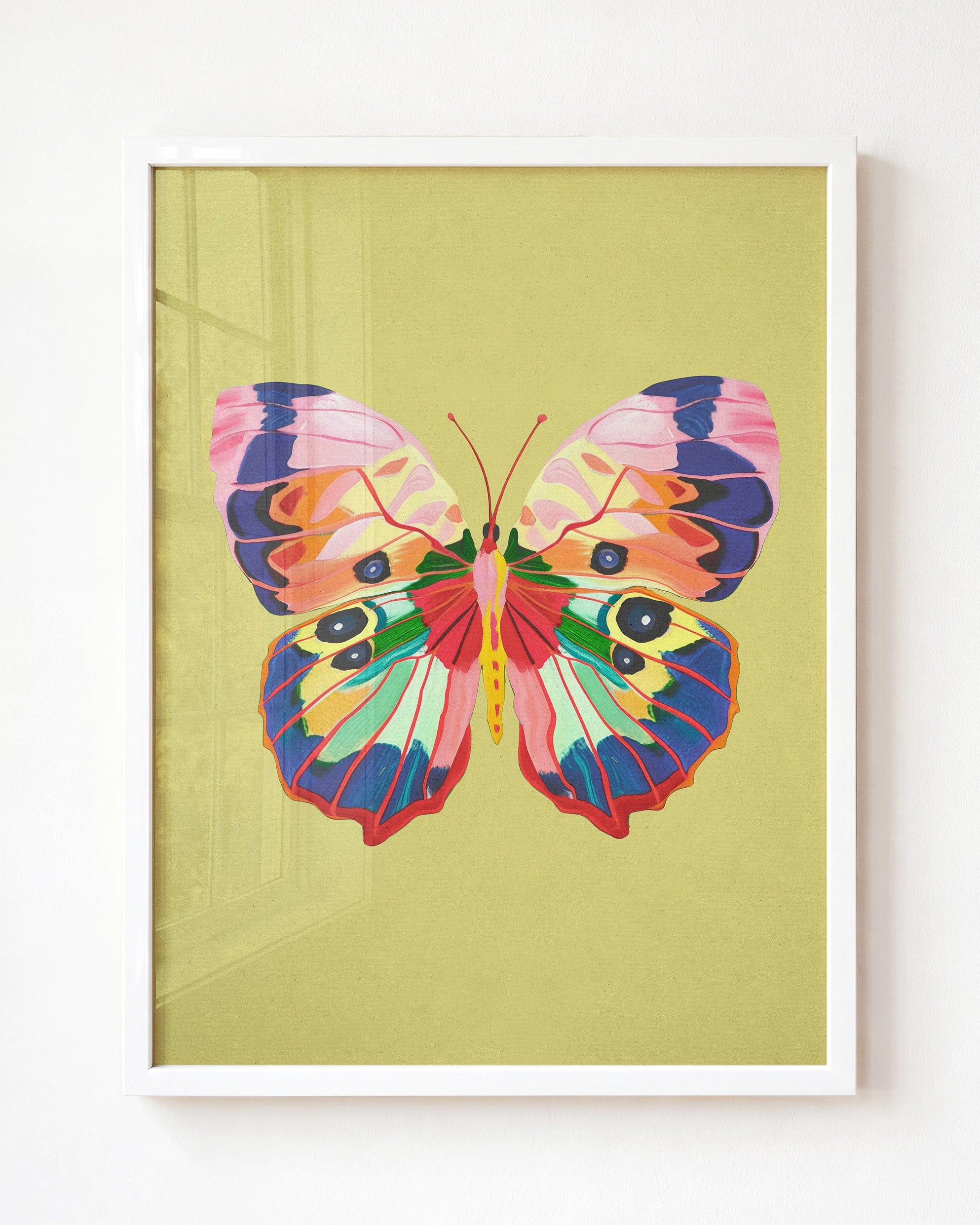 Color Bloom Butterfly Collection