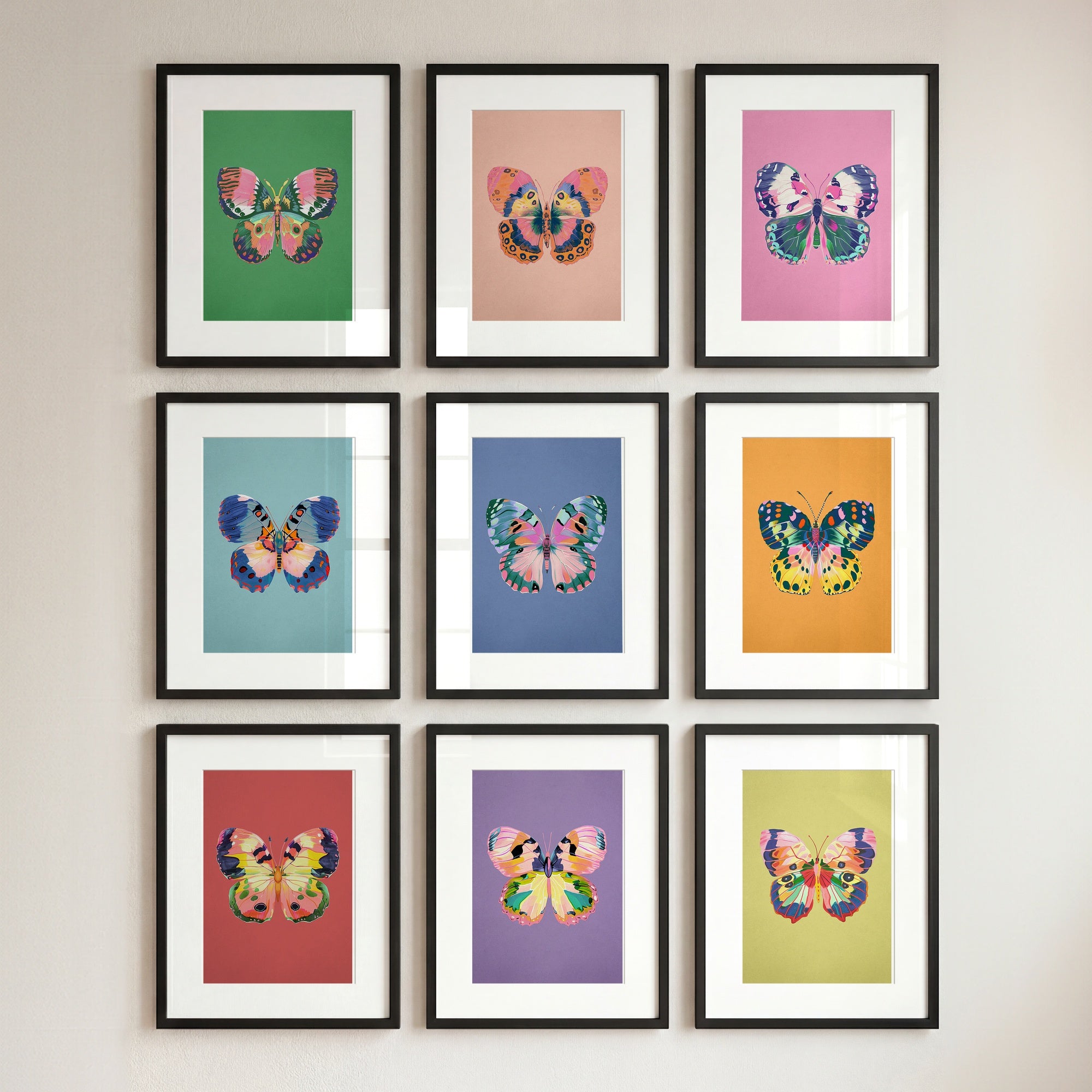 Color Bloom Butterfly Collection