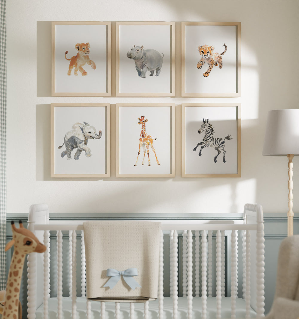 A set of six framed watercolor art prints of safari animals displayed above a crib, including images of a lion, giraffe, elephant, cheetah, zebra, and hippopotamus. | The Crown Prints