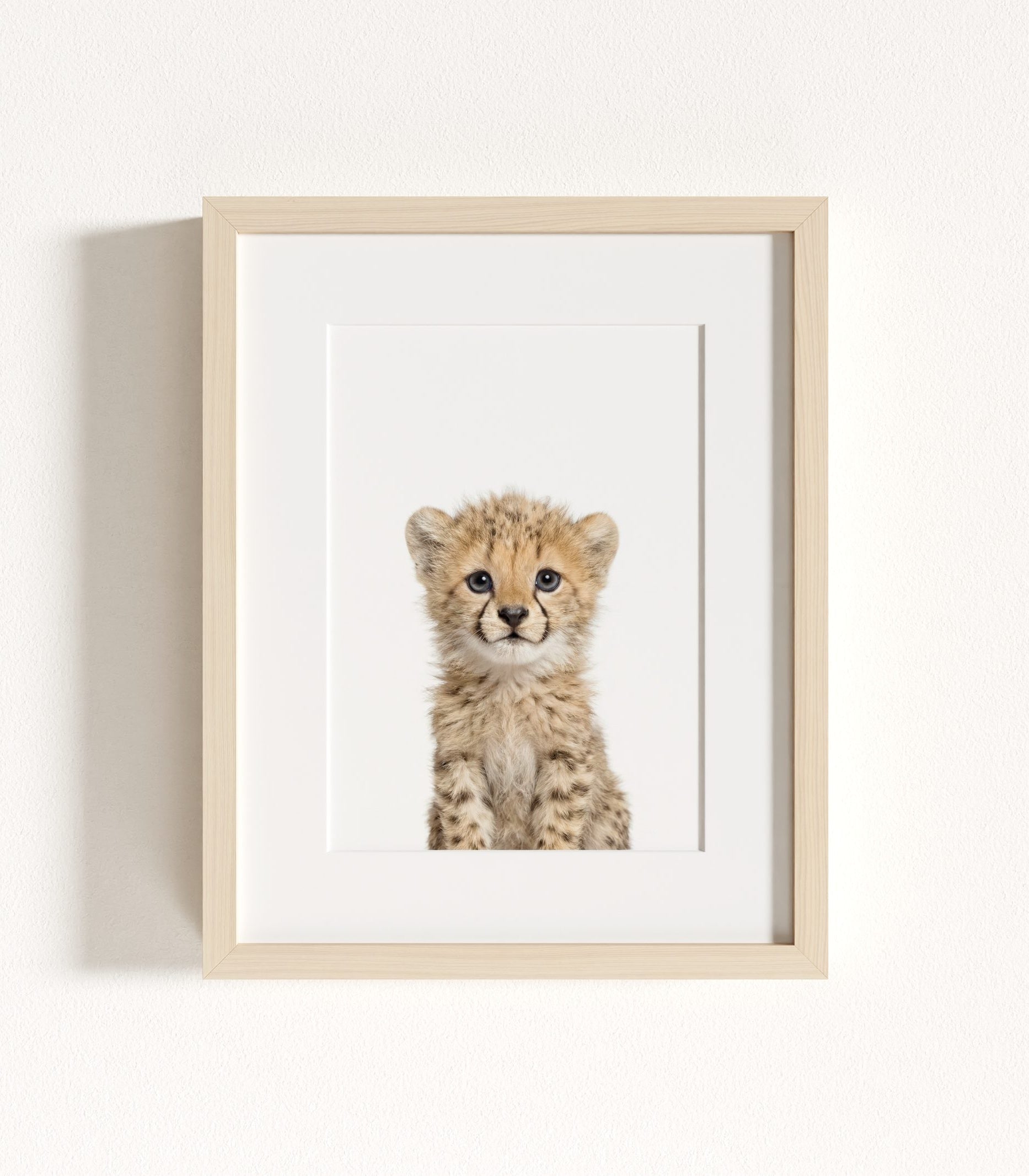 The Baby Animals 2026 Collection