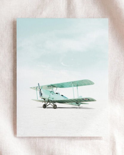 De Havilland Tiger Moth Airplane