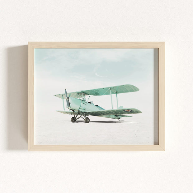 De Havilland Tiger Moth Airplane