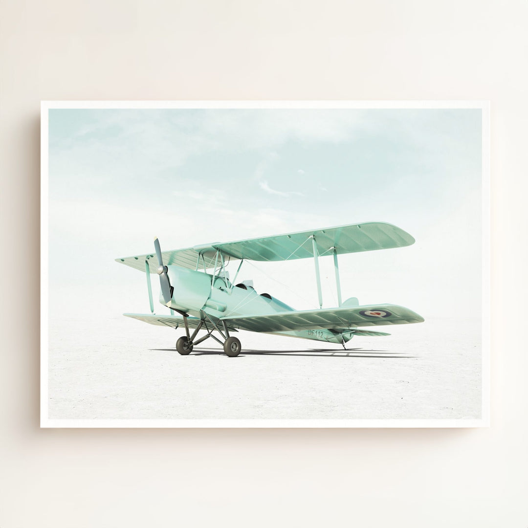 De Havilland Tiger Moth Airplane