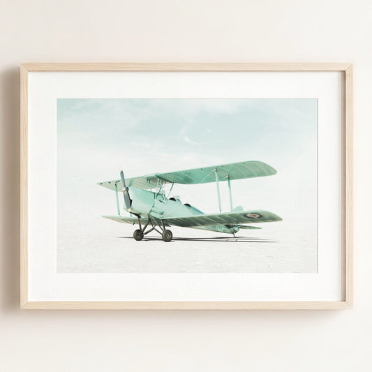De Havilland Tiger Moth Airplane