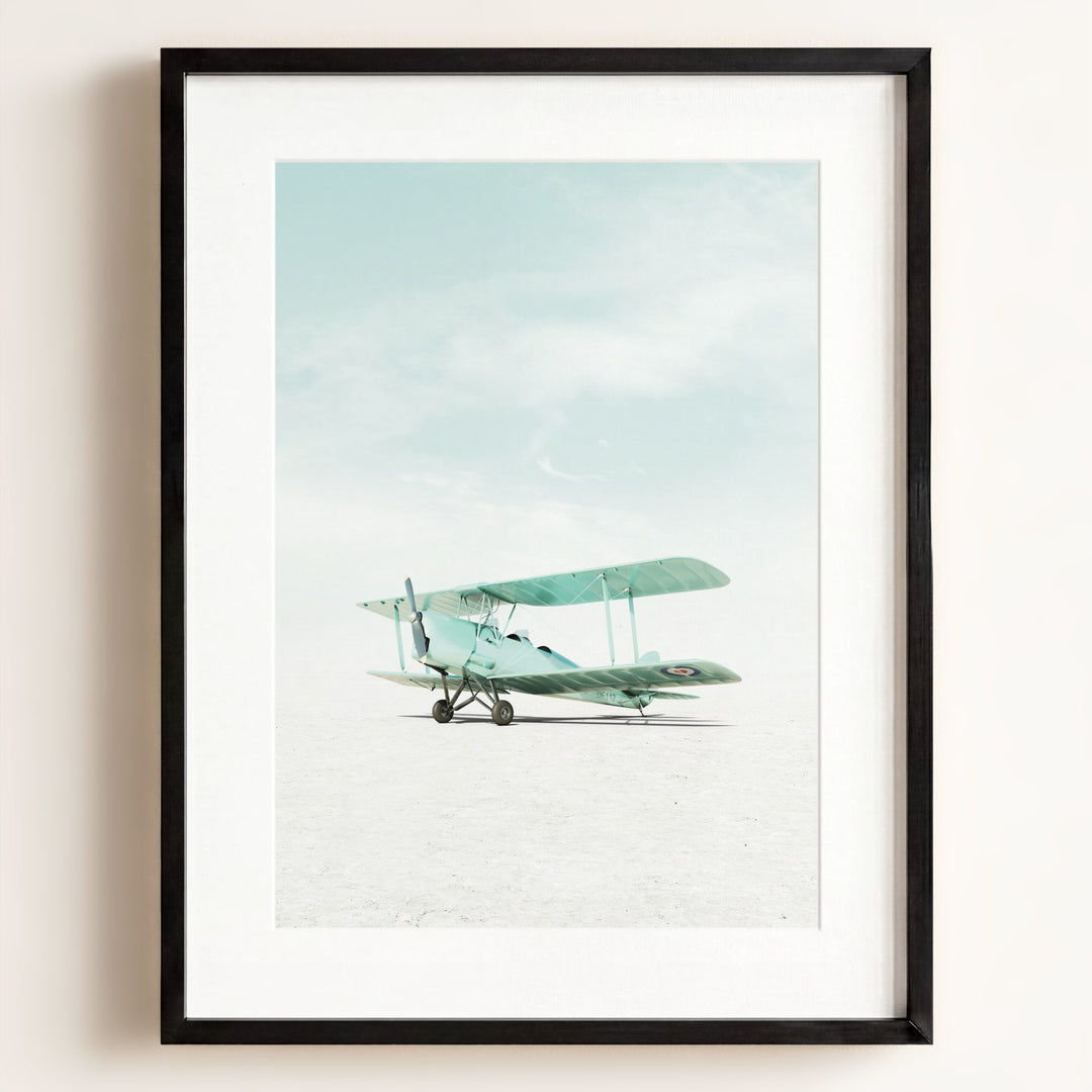 De Havilland Tiger Moth Airplane