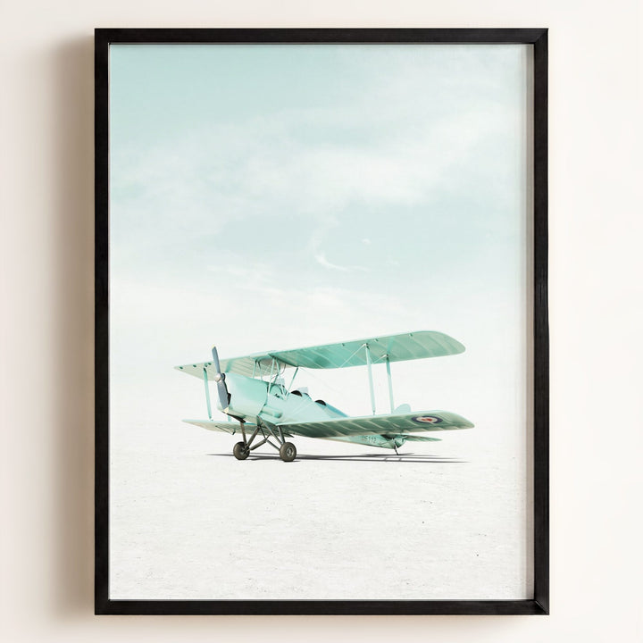 De Havilland Tiger Moth Airplane