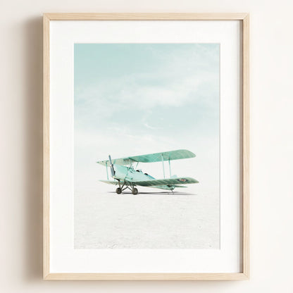 De Havilland Tiger Moth Airplane