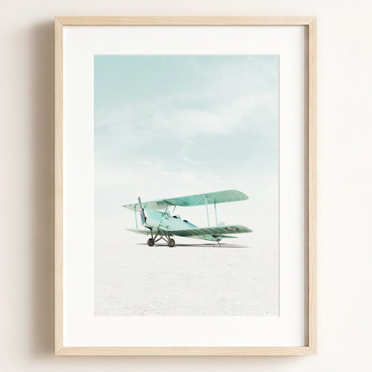 De Havilland Tiger Moth Airplane