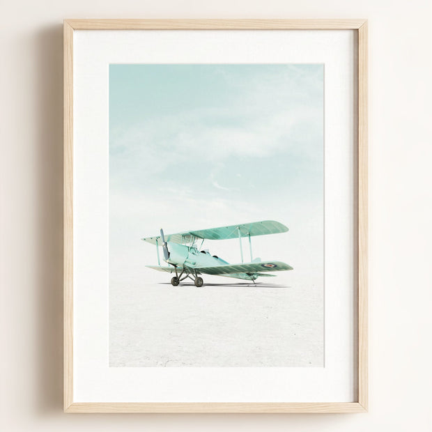 De Havilland Tiger Moth Airplane